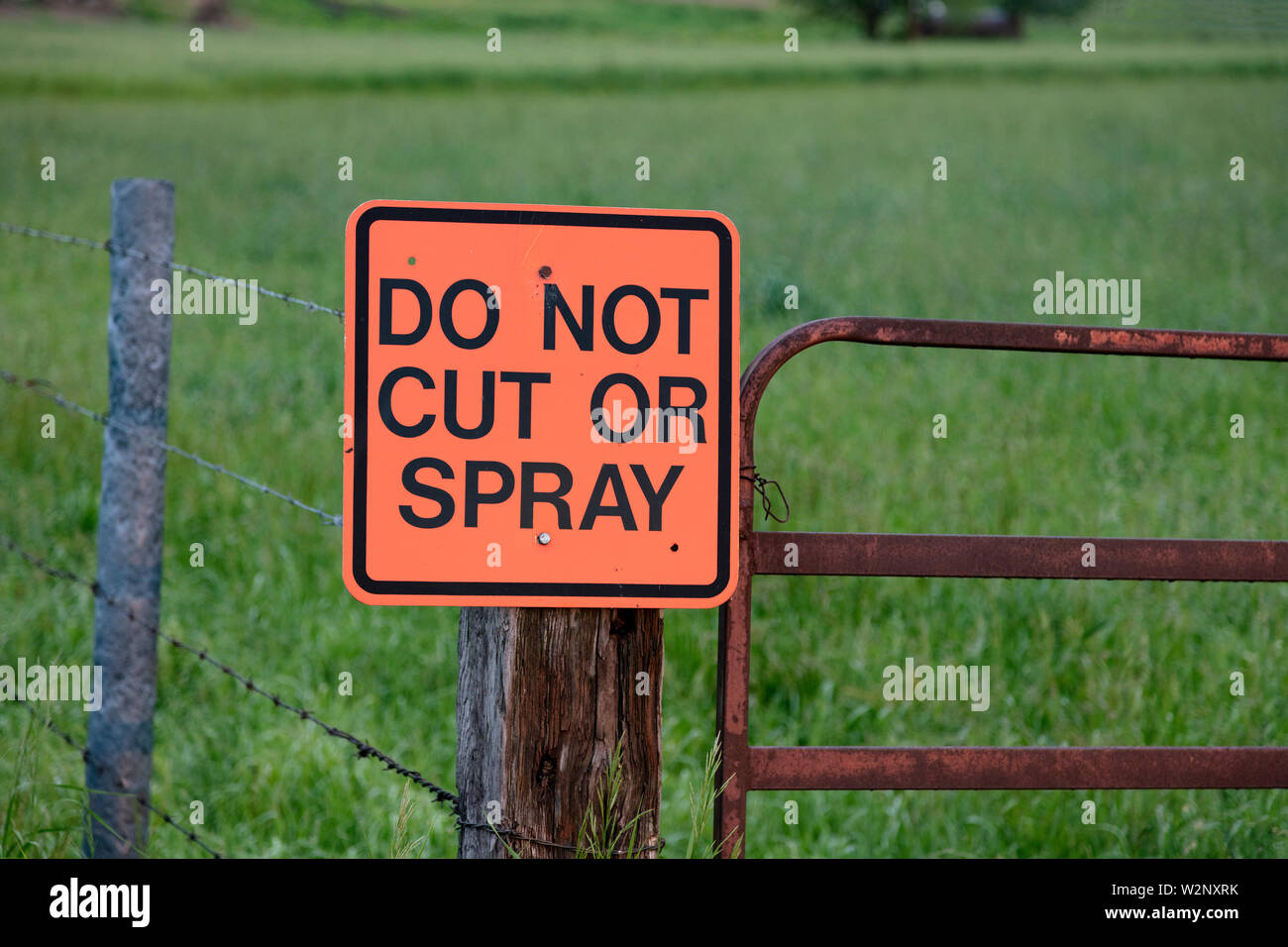 Zeichen: 'Nicht geschnitten oder Spray", Amish Farm, Indiana, USA, von James D Coppinger/Dembinsky Foto Assoc Stockfoto