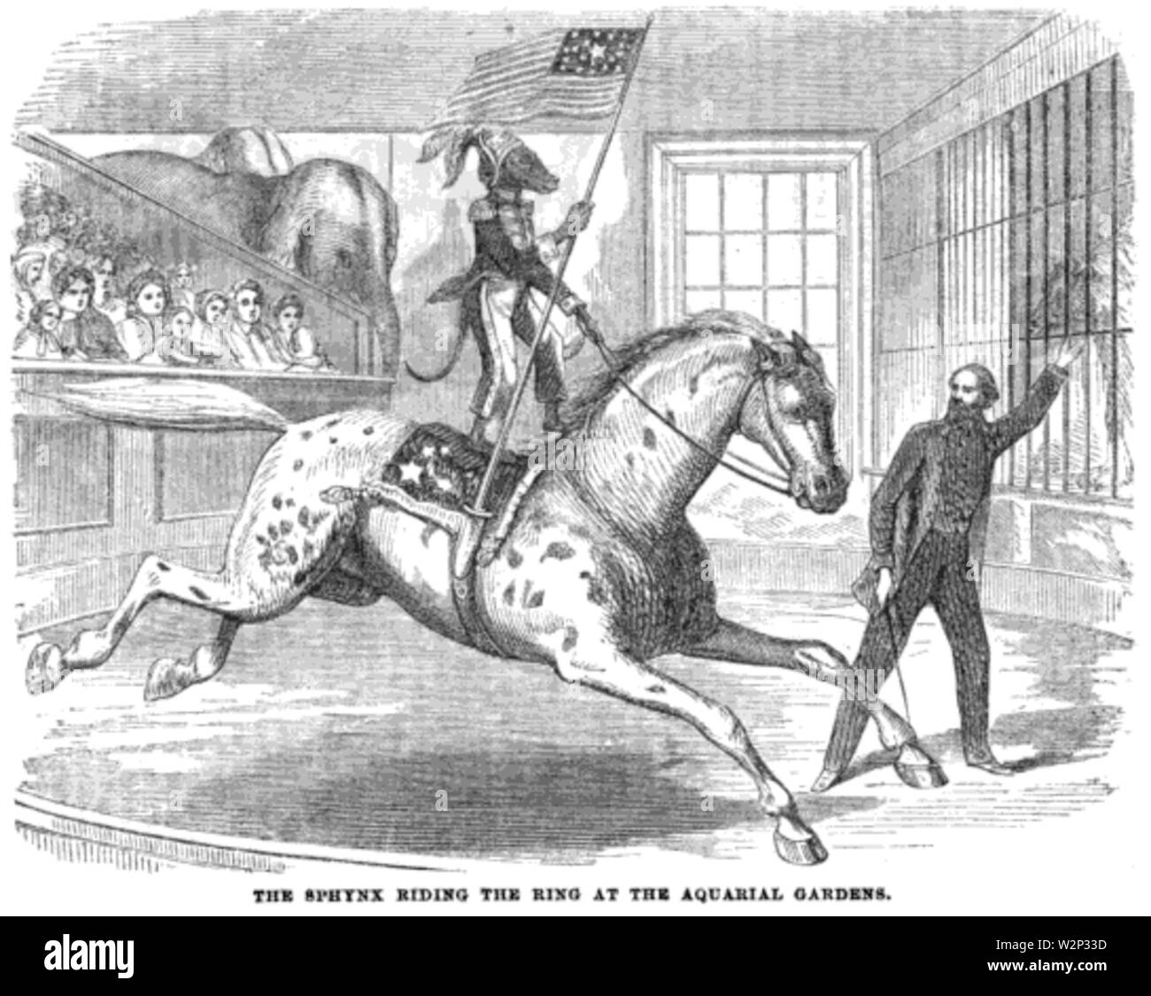 1862 Sphinx und Ballous Aquarial ZoologicalGardens Boston 2. Stockfoto