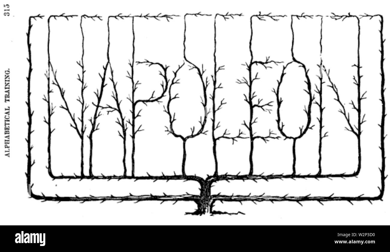 1866 FruitCulture byCharlesBaker p315 Stockfoto