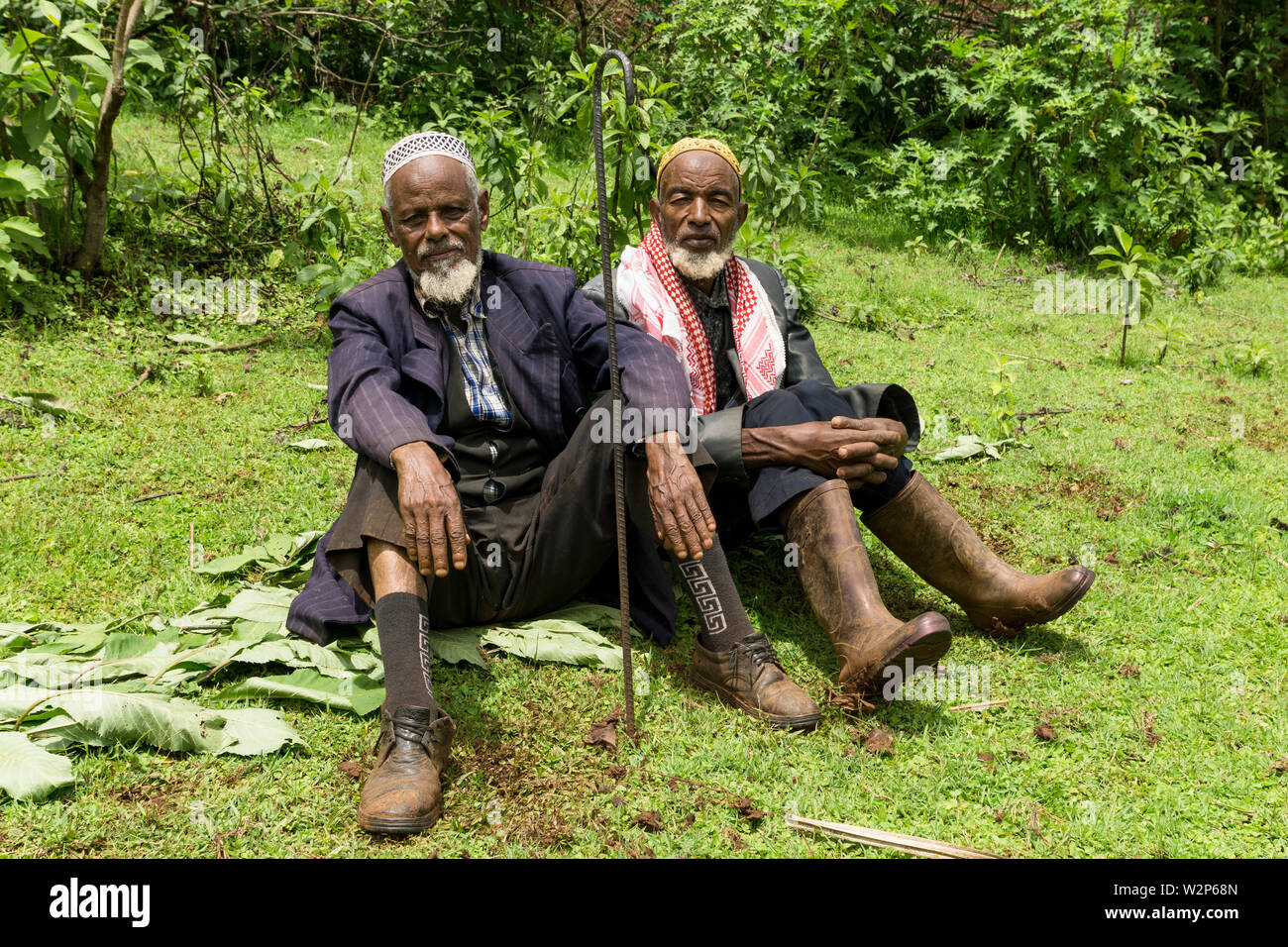 Zwei ältere muslimische Bauern in einem Feld in Illubabor, Äthiopien sitzen Stockfoto