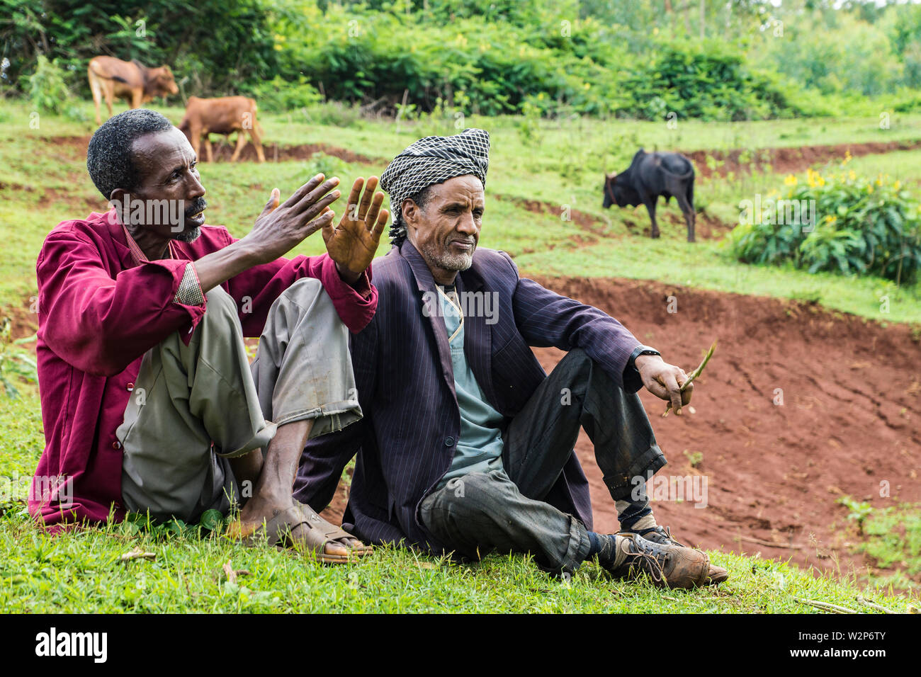 Zwei Subsistenzlandwirte in Illubabor, Äthiopien, diskutieren Umweltveränderungen und ihre Auswirkungen auf die Ernährungssicherheit Stockfoto