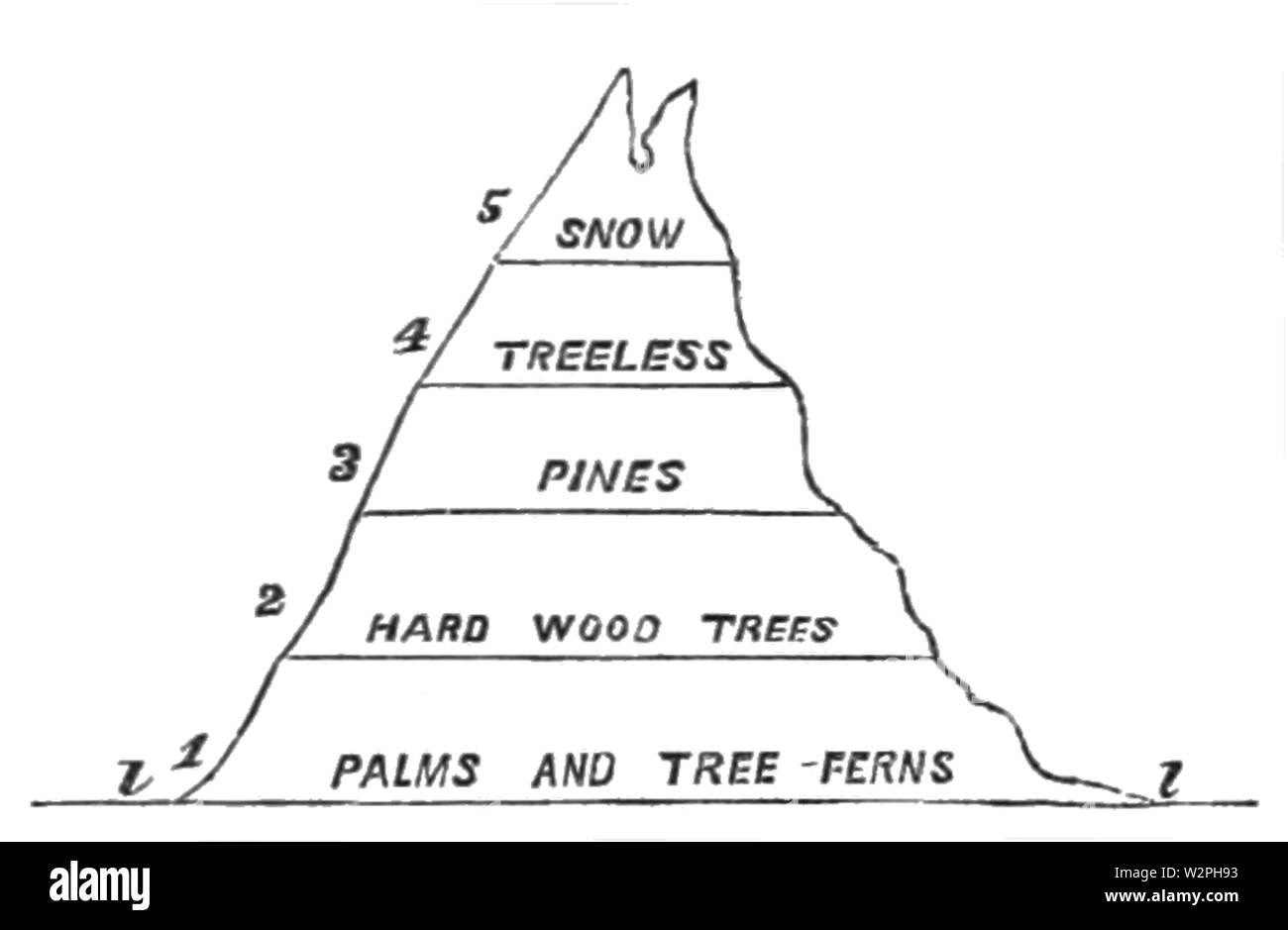 AGTM D 195 Vegetationszonen der Mexikanischen Geographie Stockfoto