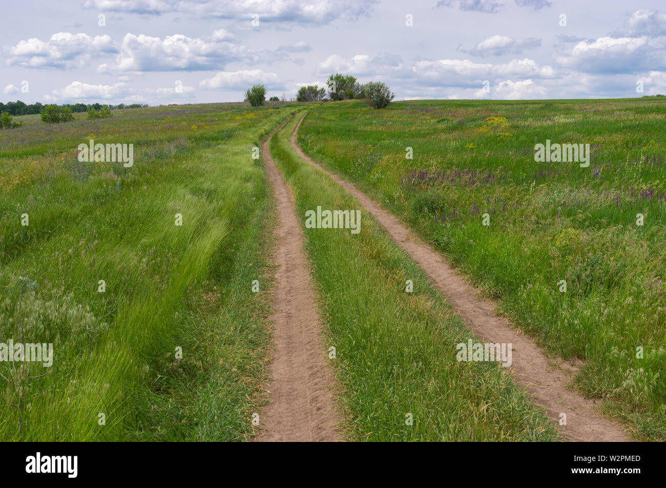 Land straße durch Sommer Wiese in der Nähe Dnipro Stadt im Zentrum der Ukraine Stockfoto