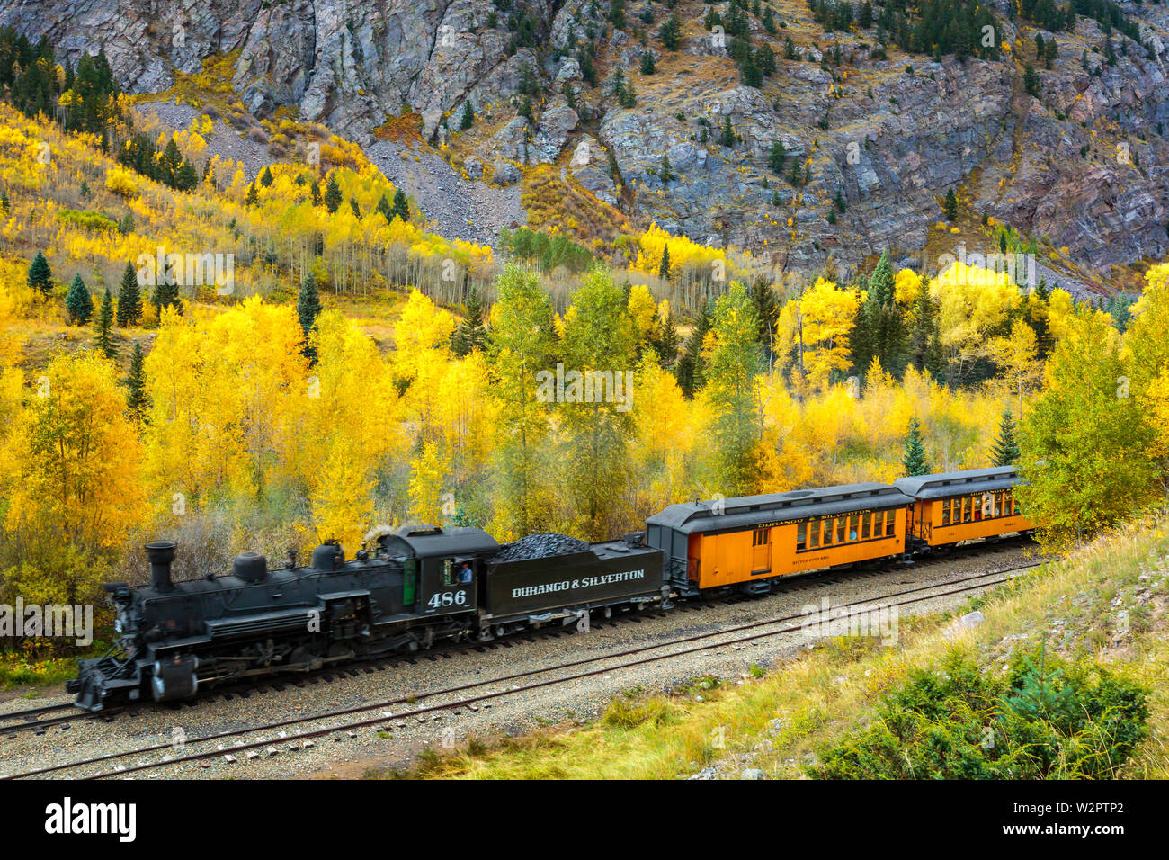 Die Durango & Silverton Schmalspurbahn in Colorado mit Espen im Herbst. Stockfoto