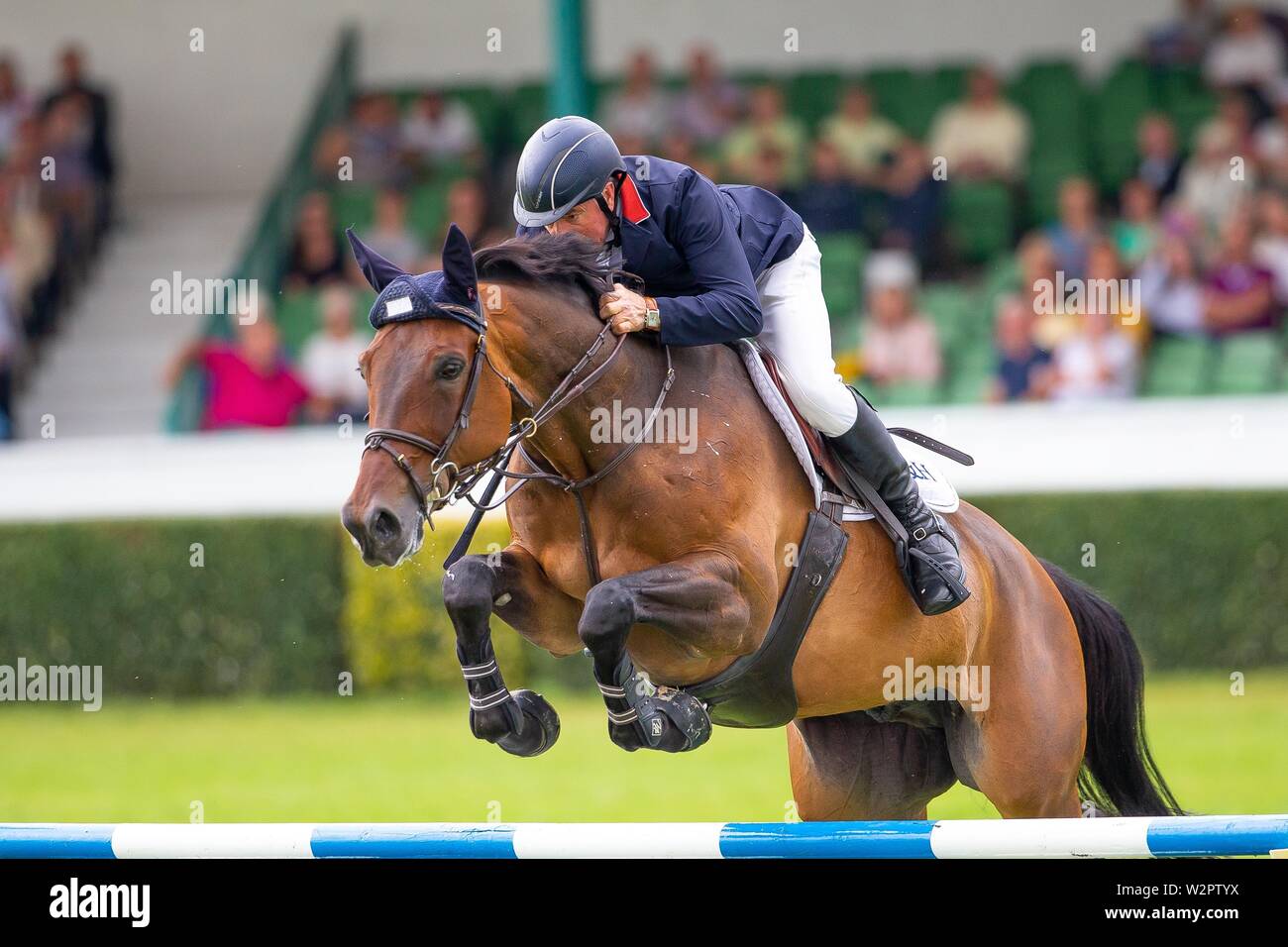 Harrogate. Yorkshire. 10. Juli 2019. 3. Platz. John Whitaker reiten Unick Du Francport. GBR. Internationale Treppe. Springen. Große Yorkshire zeigen. Große Yorkshire Showground. Harrogate. Yorkshire. Vereinigtes Königreich. 10.07.2019. Kredit Elli Birke/SIP-Foto Agentur/Alamy leben Nachrichten Stockfoto