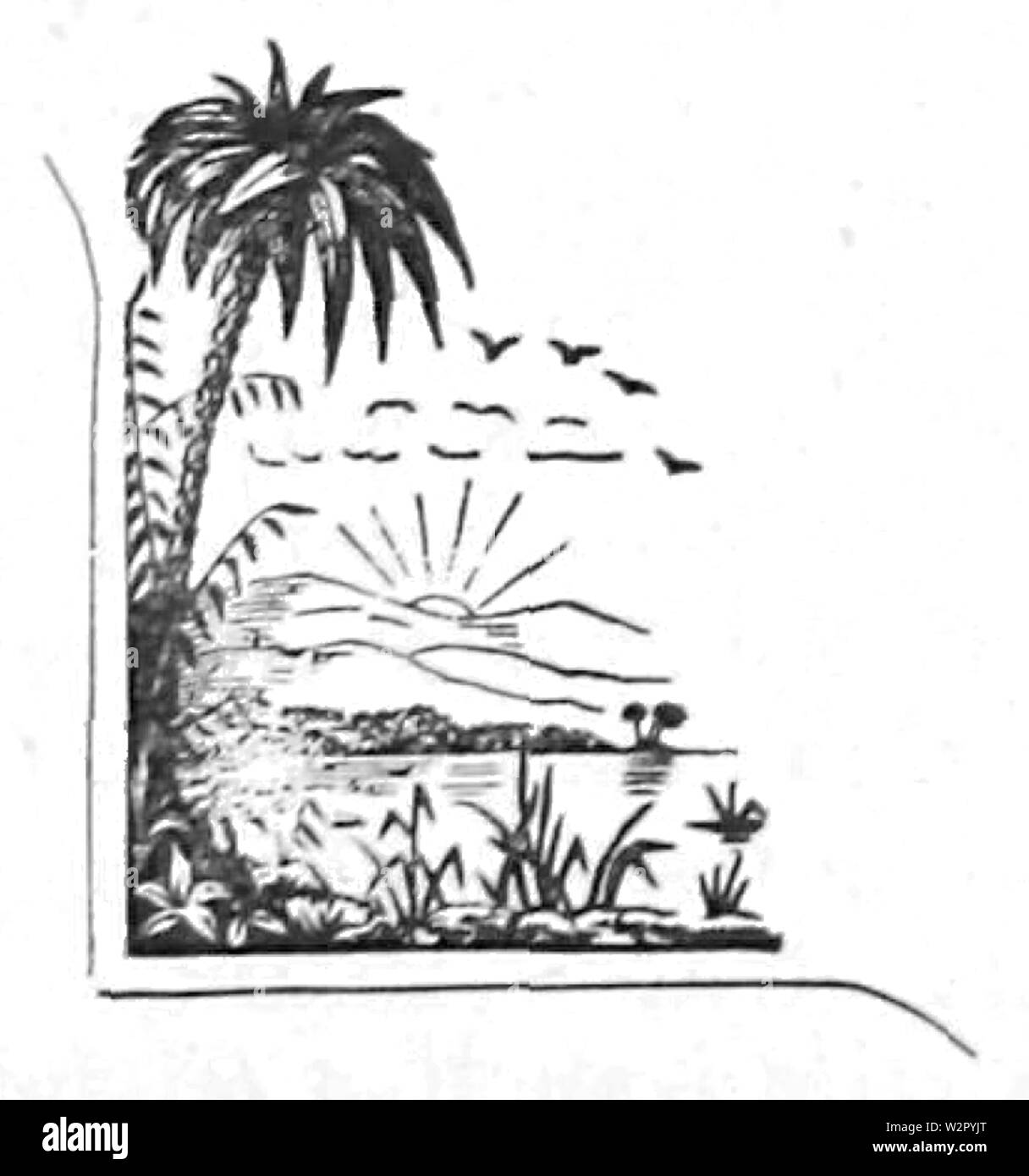 Australische Equiry Buch von Haushalts- und Allgemeine Informationen 1894 Seite 175 Stockfoto