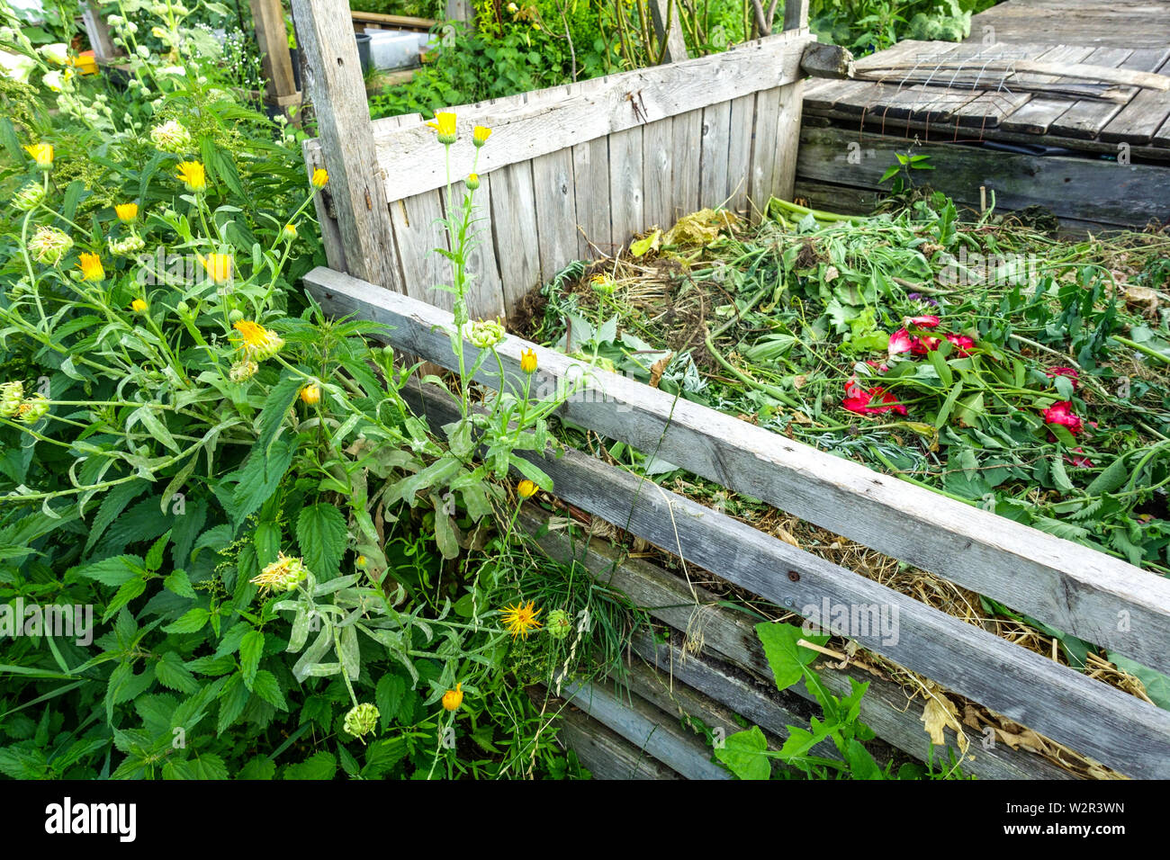 Garten Kompost bin, Kompostierung Haufen biologischen Abfällen aus dem Garten und das Haus Stockfoto