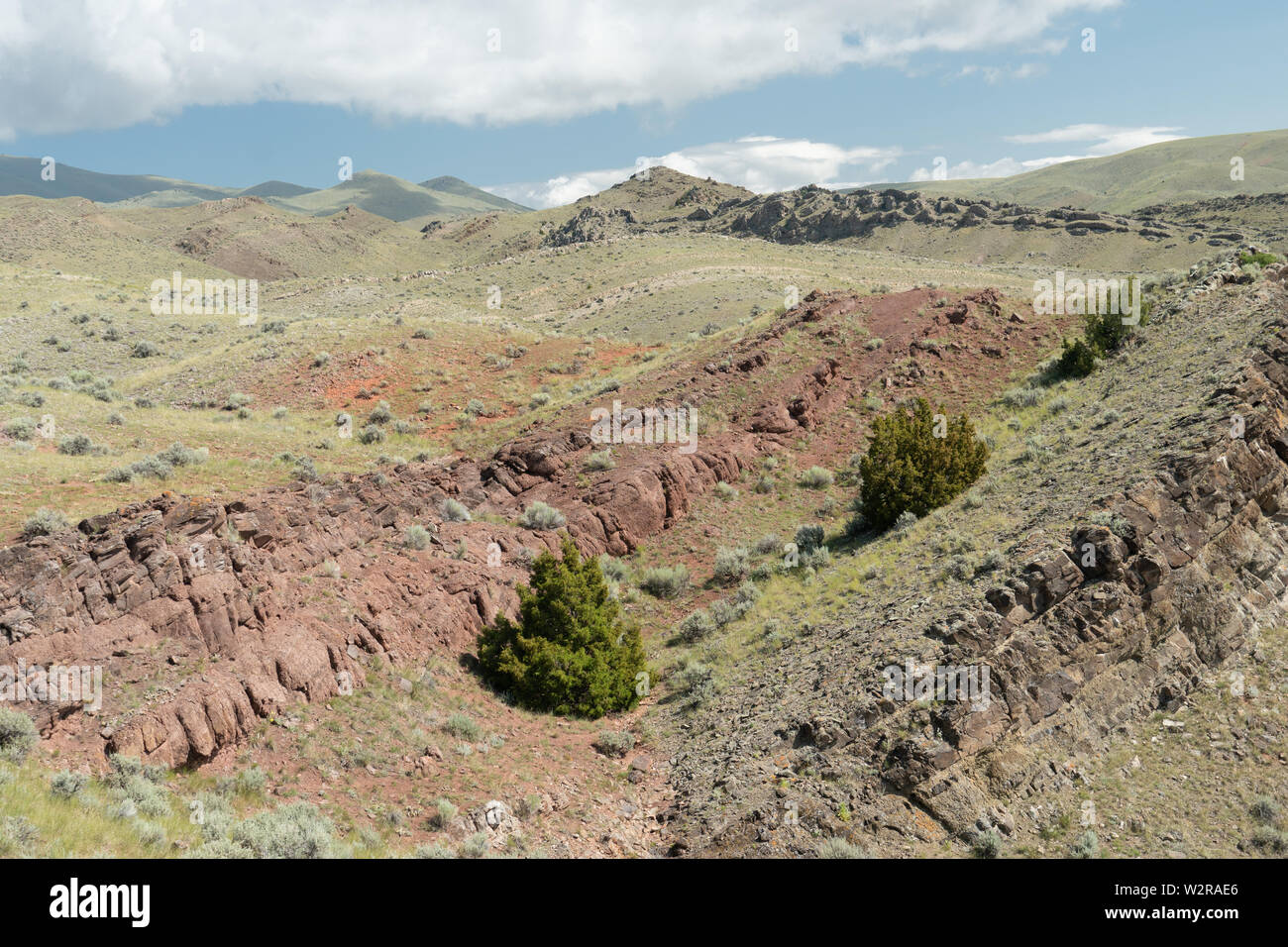 Kreidezeit rot Betten der Kootenai Bildung, Montana, USA Stockfoto