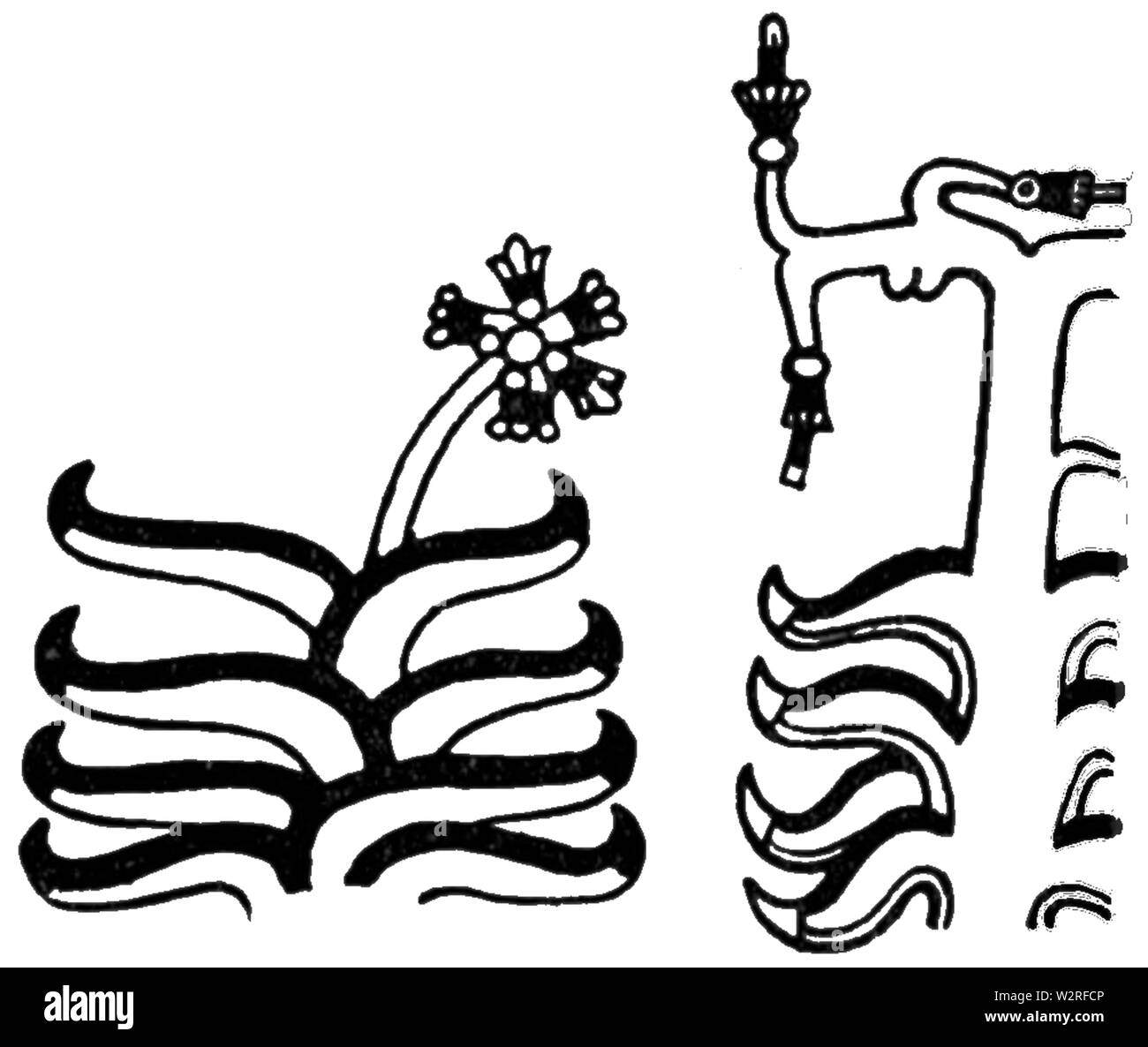 COM V1 D122 Aloe Stockfoto