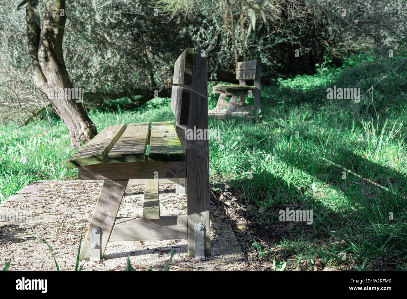 Seitliche Sicht auf zwei antike, rustikale Holzbänke in einem grünen Garten im Frühjahr Stockfoto