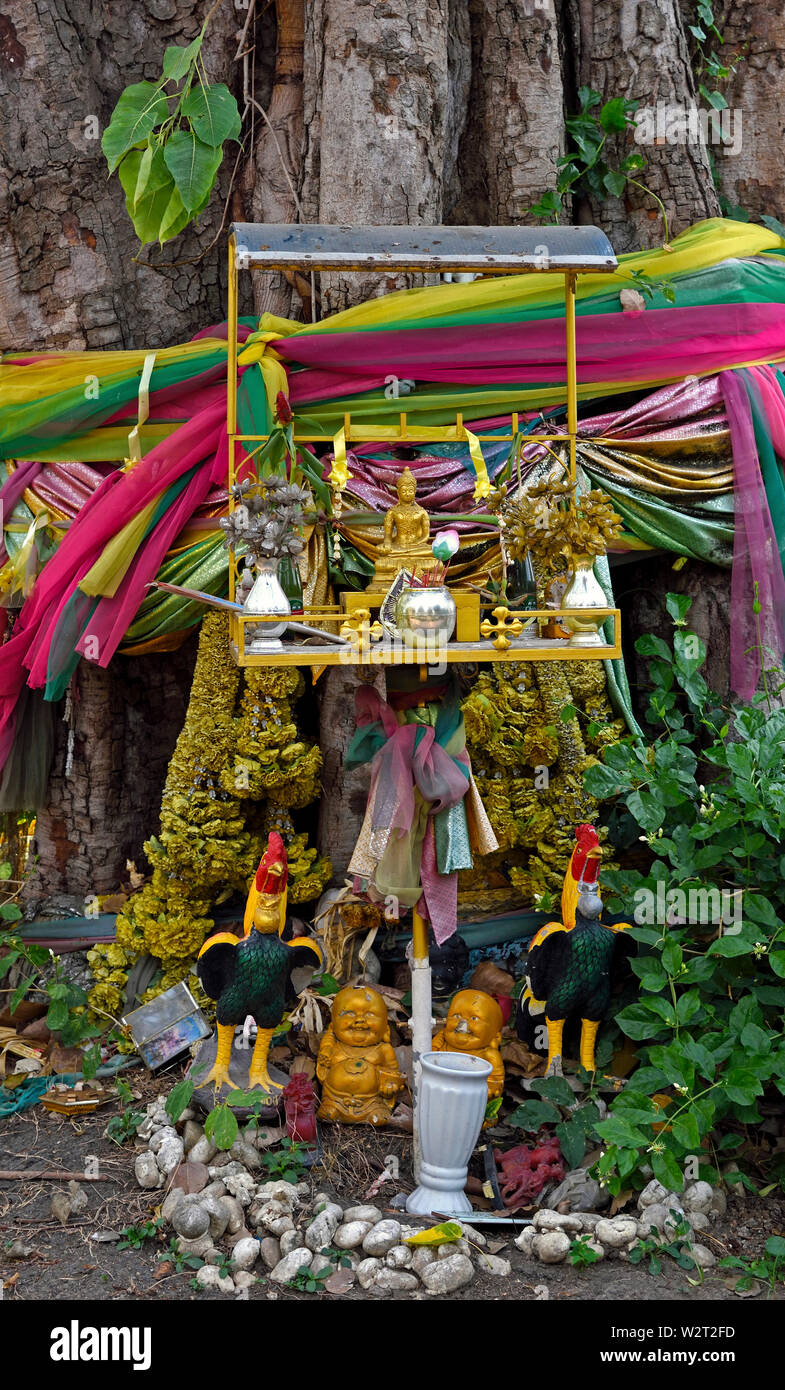 Ayutthaya, Thailand - 10, 2019 Februar: buddhistische Altar mit bunten Dekorationen an einem Baum Stockfoto