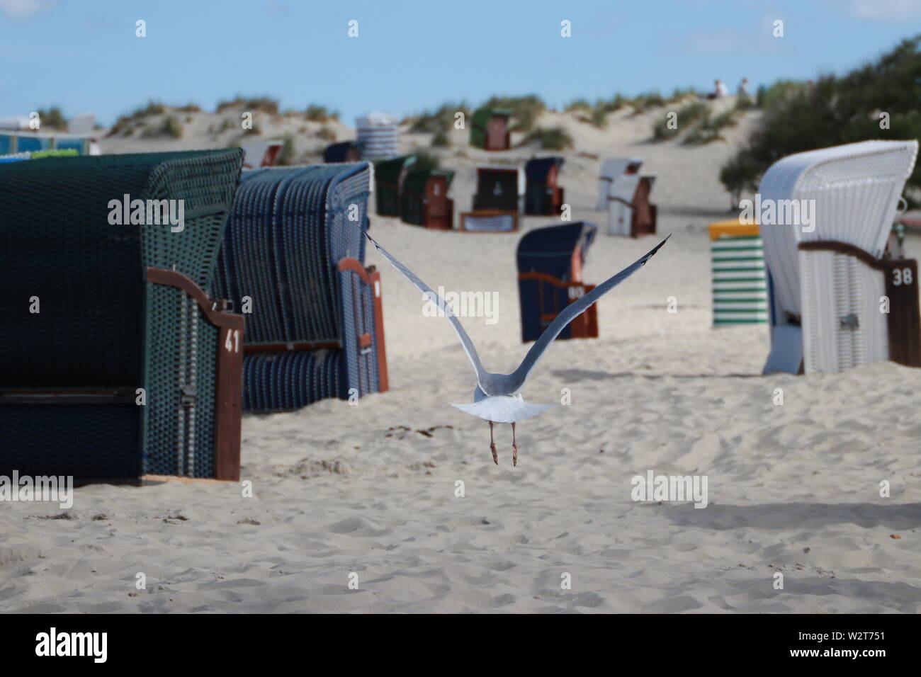 Möwe zwischen Strandkörben auf Borkum im Flug Stockfoto
