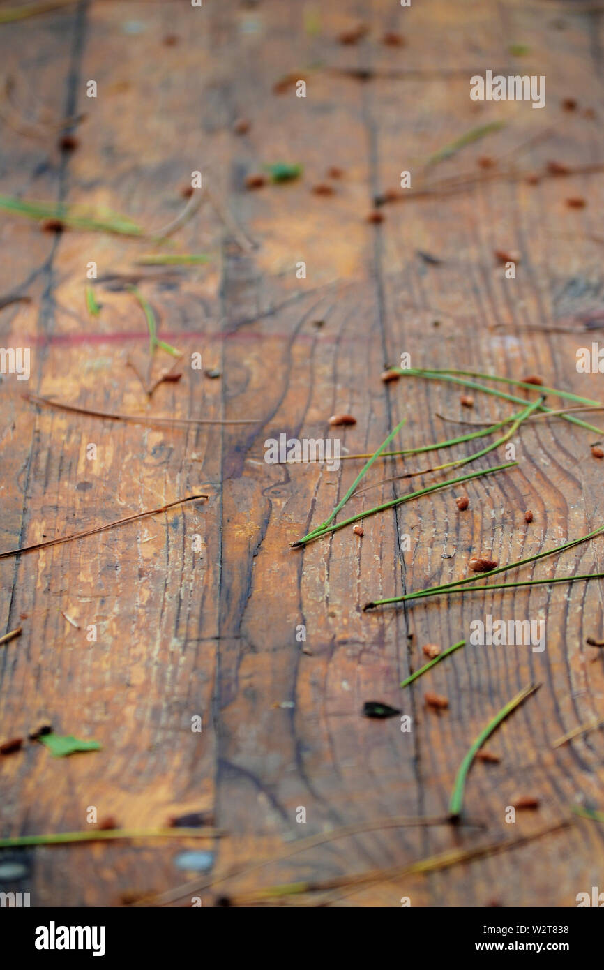 Nahaufnahme der Kiefer lamelle auf einer Holz Garten Tisch Stockfoto