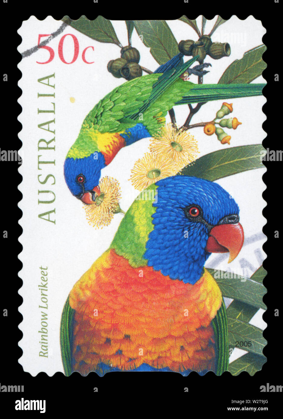 Australien - ca. 2005: einen Stempel in Australien gedruckten zeigt ein Bild von zwei Rainbow lorikeet Vögel, Serie, ca. 2005. Stockfoto