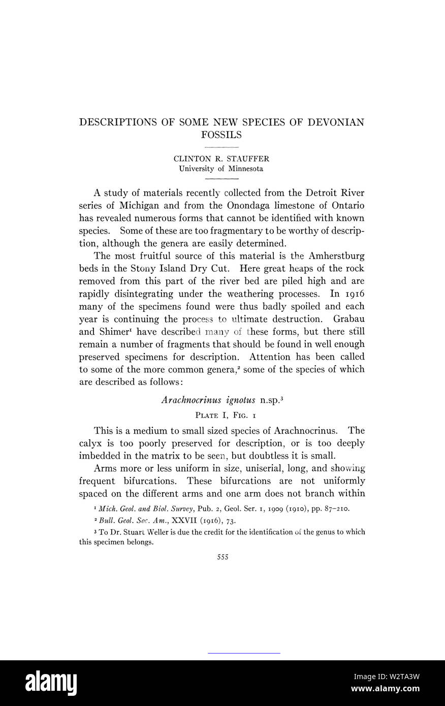 Beschreibungen der Einige neue Arten von Devonischer Fossilien Seite 1 Stockfoto