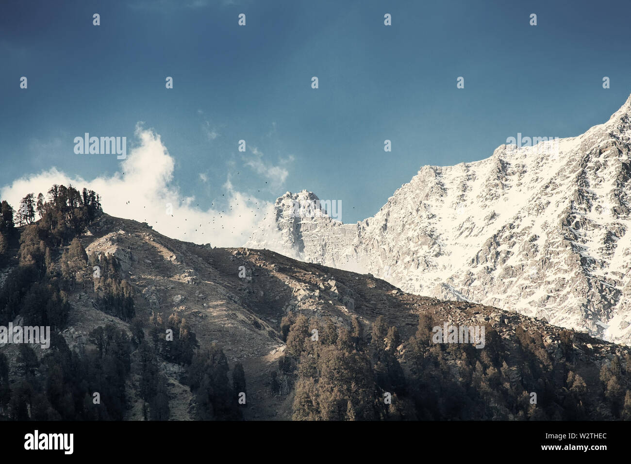 Himalaya Vorberge, die in der Mitte der Feder Landschaft. Entfernung von schönen Bergen bei schönem Wetter Stockfoto