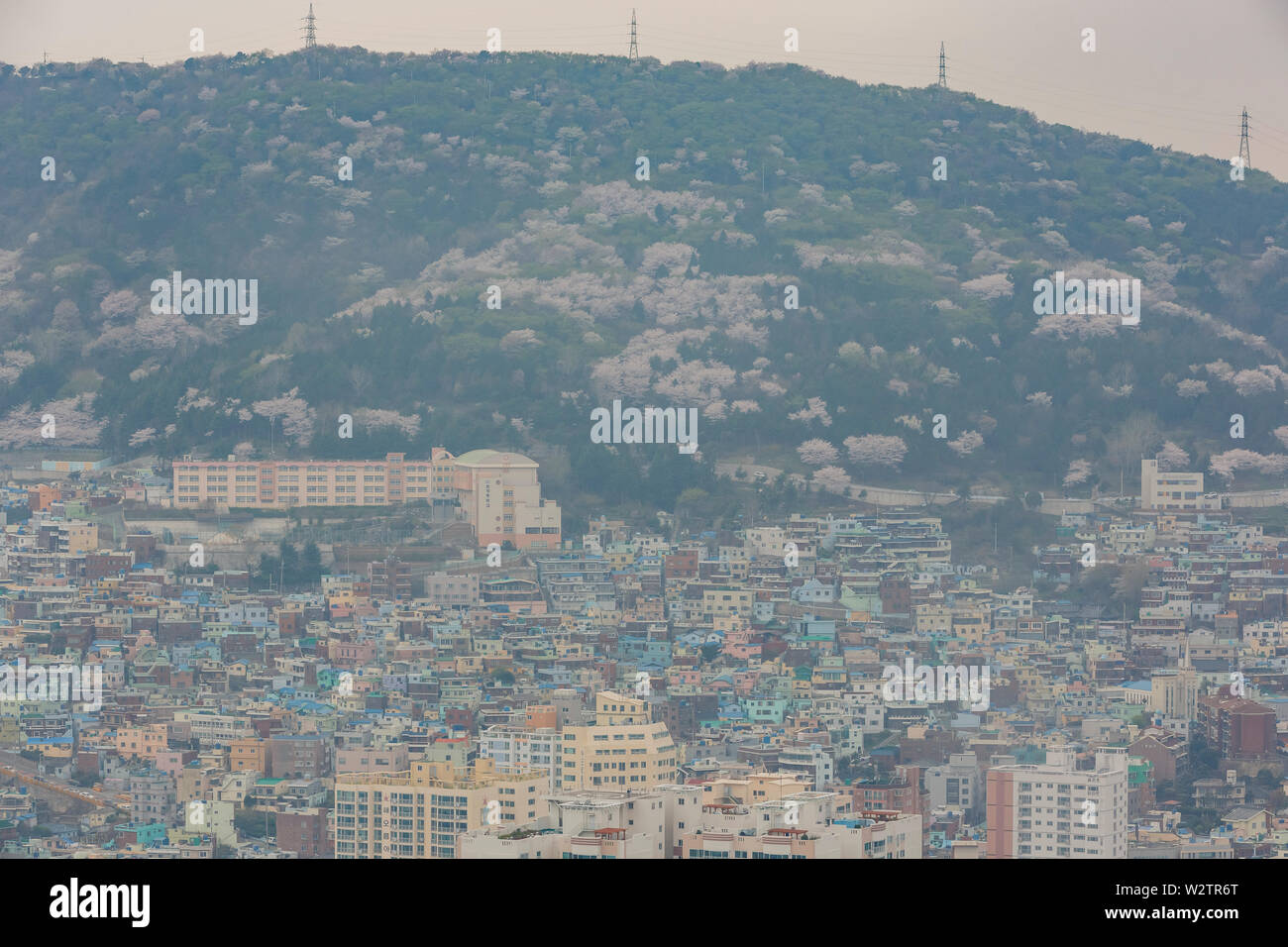 Luftaufnahme der Busan Stadtbild von Busan Turm in Busan, Südkorea Stockfoto