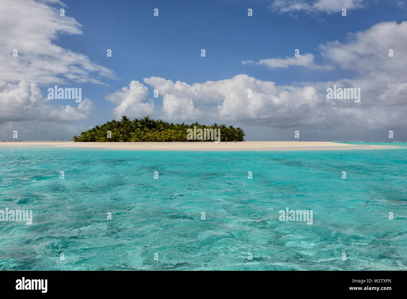 Insel mit Palmen und von einem weißen Sandstrand in der türkisblauen Lagune von Aitutaki, Cook Inseln, Polynesien umgeben Stockfoto
