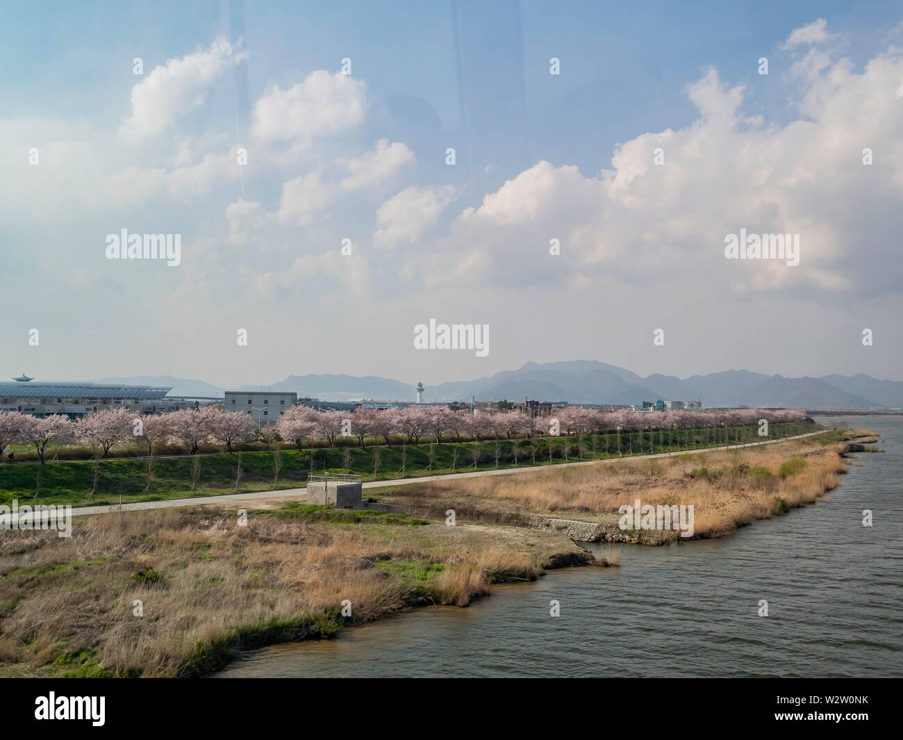 Luftaufnahme der Busan Stadtbild mit Cherry Blossom in Südkorea Stockfoto