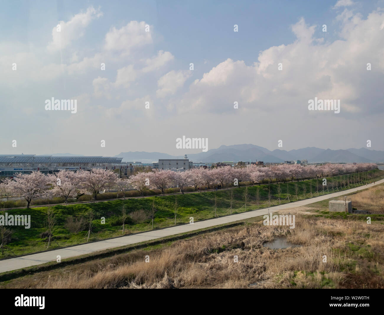 Luftaufnahme der Busan Stadtbild mit Cherry Blossom in Südkorea Stockfoto