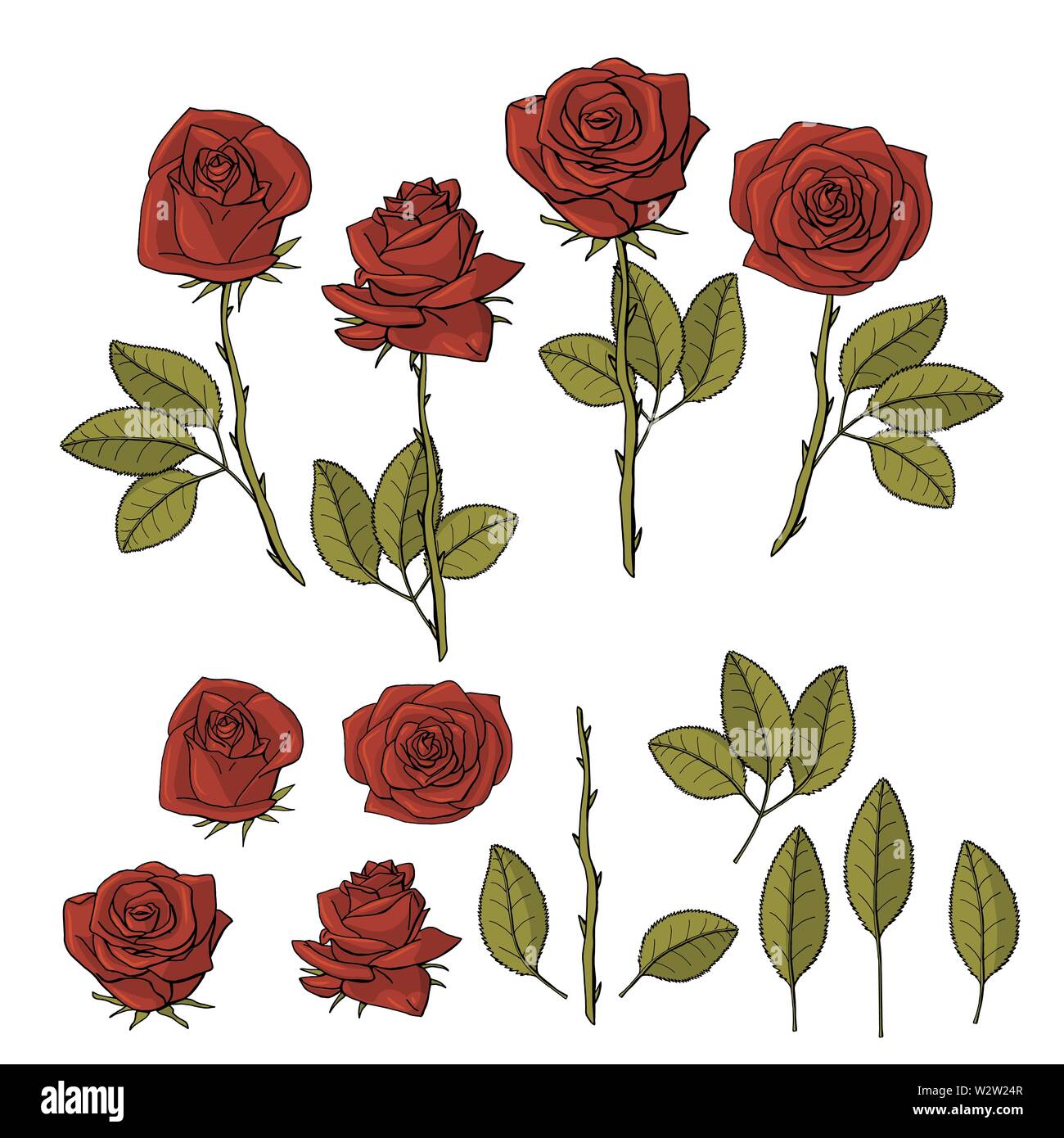 Hand gezeichnet Rose Blume. Floral Design Element isoliert auf weißem Hintergrund. Vektor Illustration. Stock Vektor