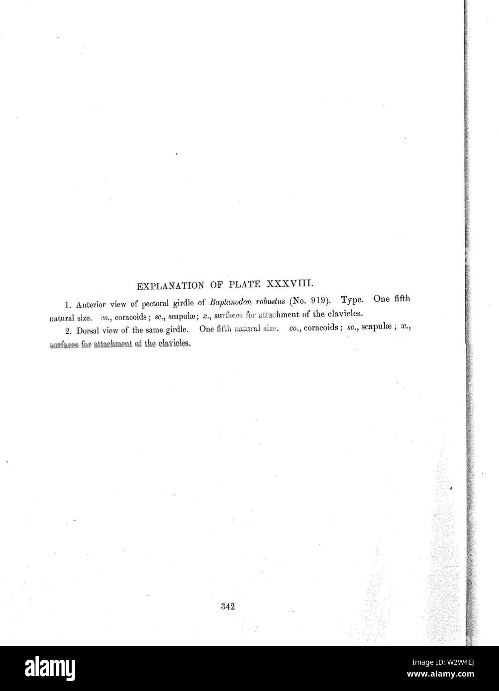 GilmoreBaptan-018 Stockfoto