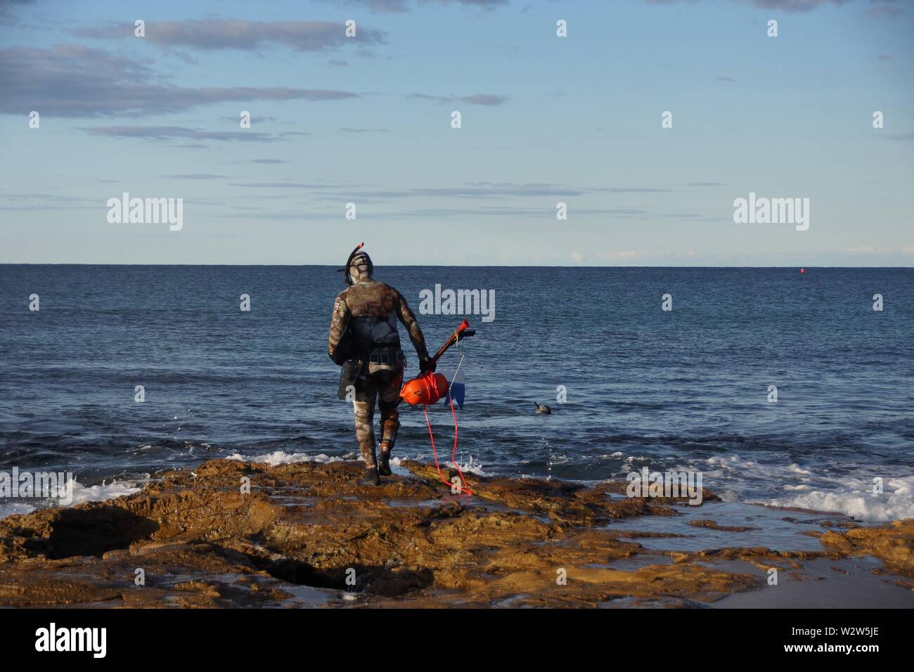 Bellambi Punkt diver Stockfoto