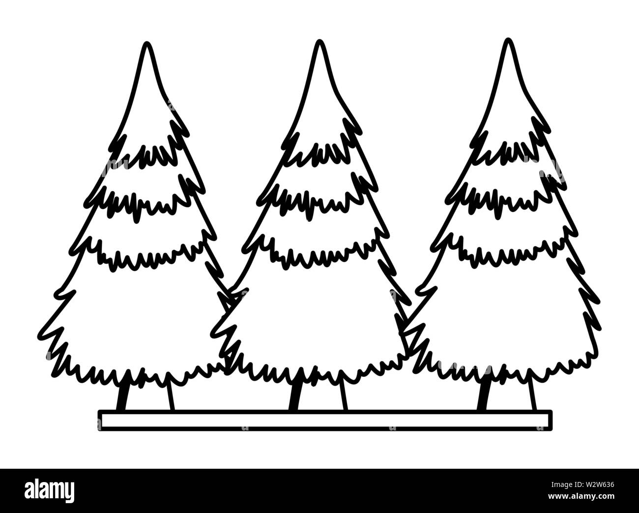 Bäume Kiefern auf gras natur landschaft in Schwarz und Weiß Stock Vektor