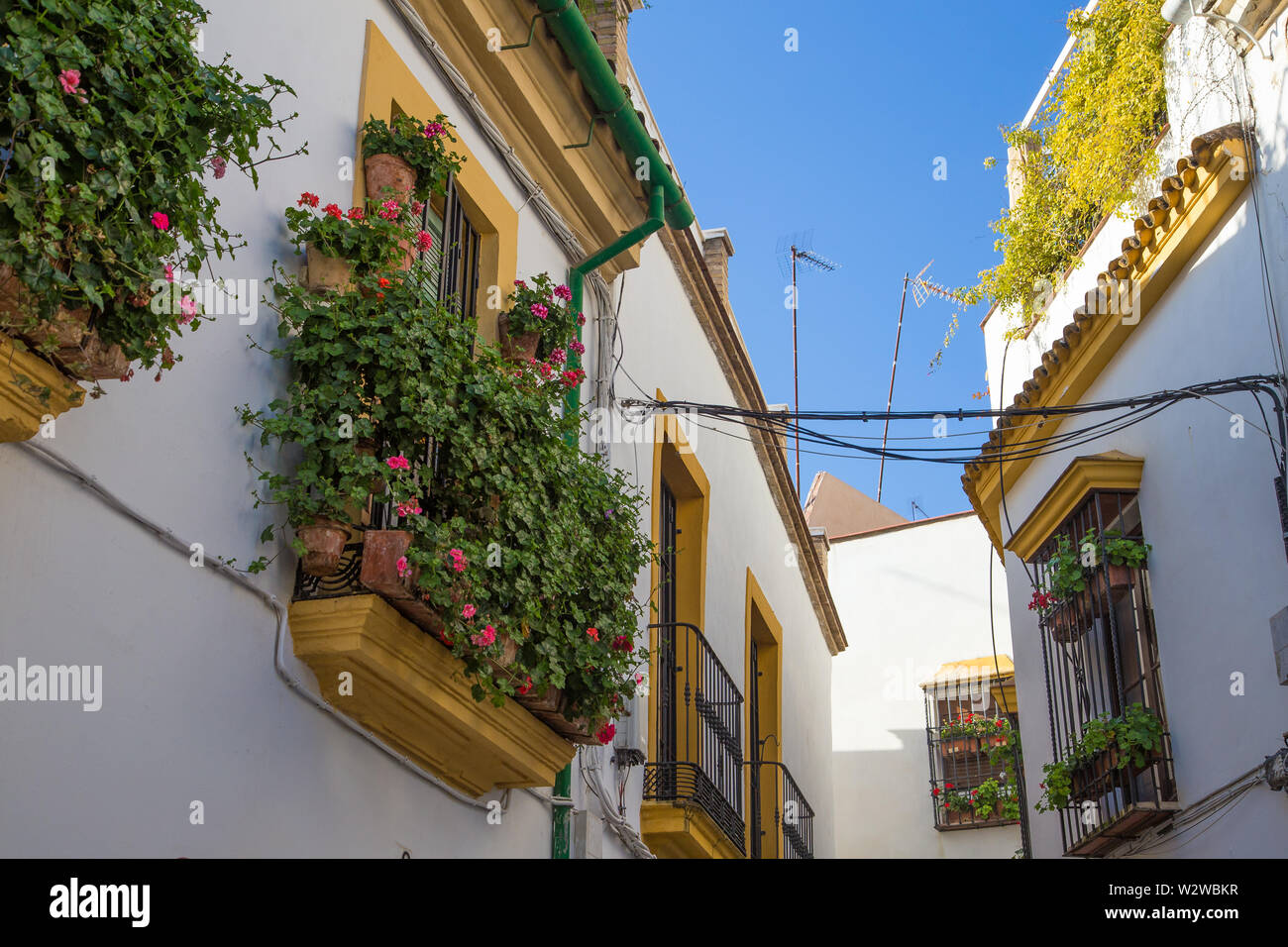 Strassen und Häuser in Cordoba, Spanien Stockfoto