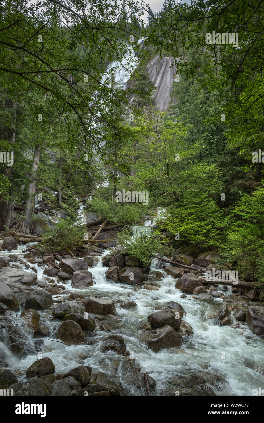 Shannon falls Purzelt die steile Felswand und dann ergiesst sich ein Bach unten. Sea-to-Sky Highway in der Nähe von Sqaumish, BC Stockfoto