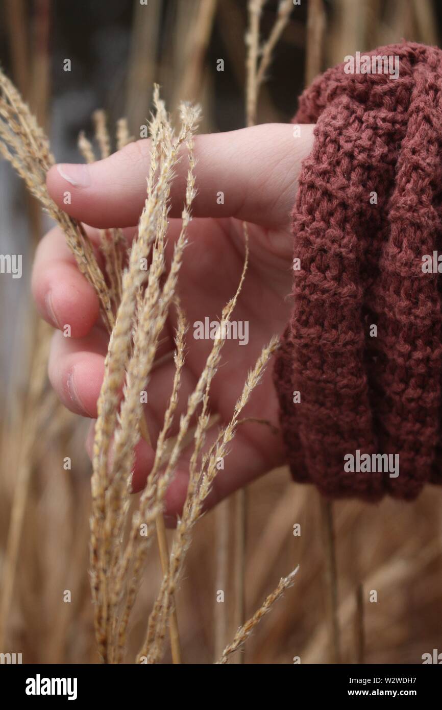 Eine gemütliche Atmosphäre auch an einem kalten Tag. Stockfoto