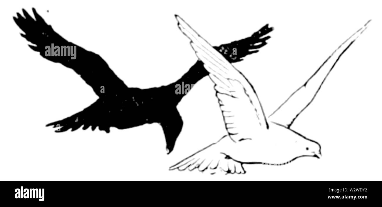 Abbildung: inset auf Seite 223 der indischen Märchen (1892) Stockfoto