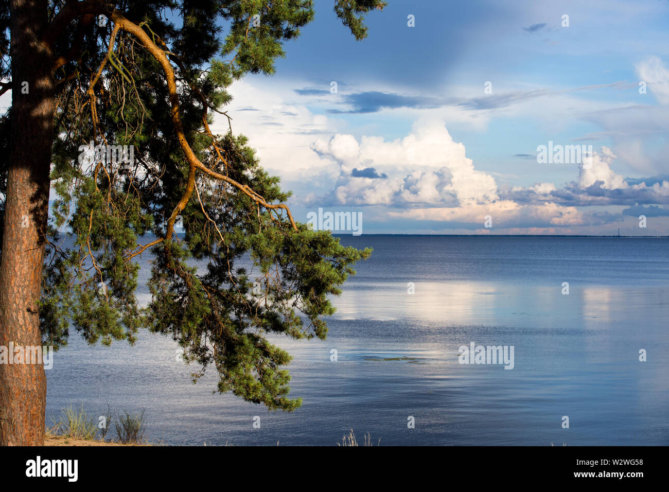 Große Wolken am Kiewer Stausee, hugewater Sammler zwischen Chrnobyl und Kiew, 110 km lang, 922 км² + Kiefer (links) über Tschernobyl Ufer des Dnjepr. Stockfoto Große Wolken am Kiewer Stausee, hugewater Sammler zwischen Chrnobyl und Kiew, 110 km lang, 922 км² + Kiefer (links) über Tschernobyl Ufer des Dnjepr. Stockfoto