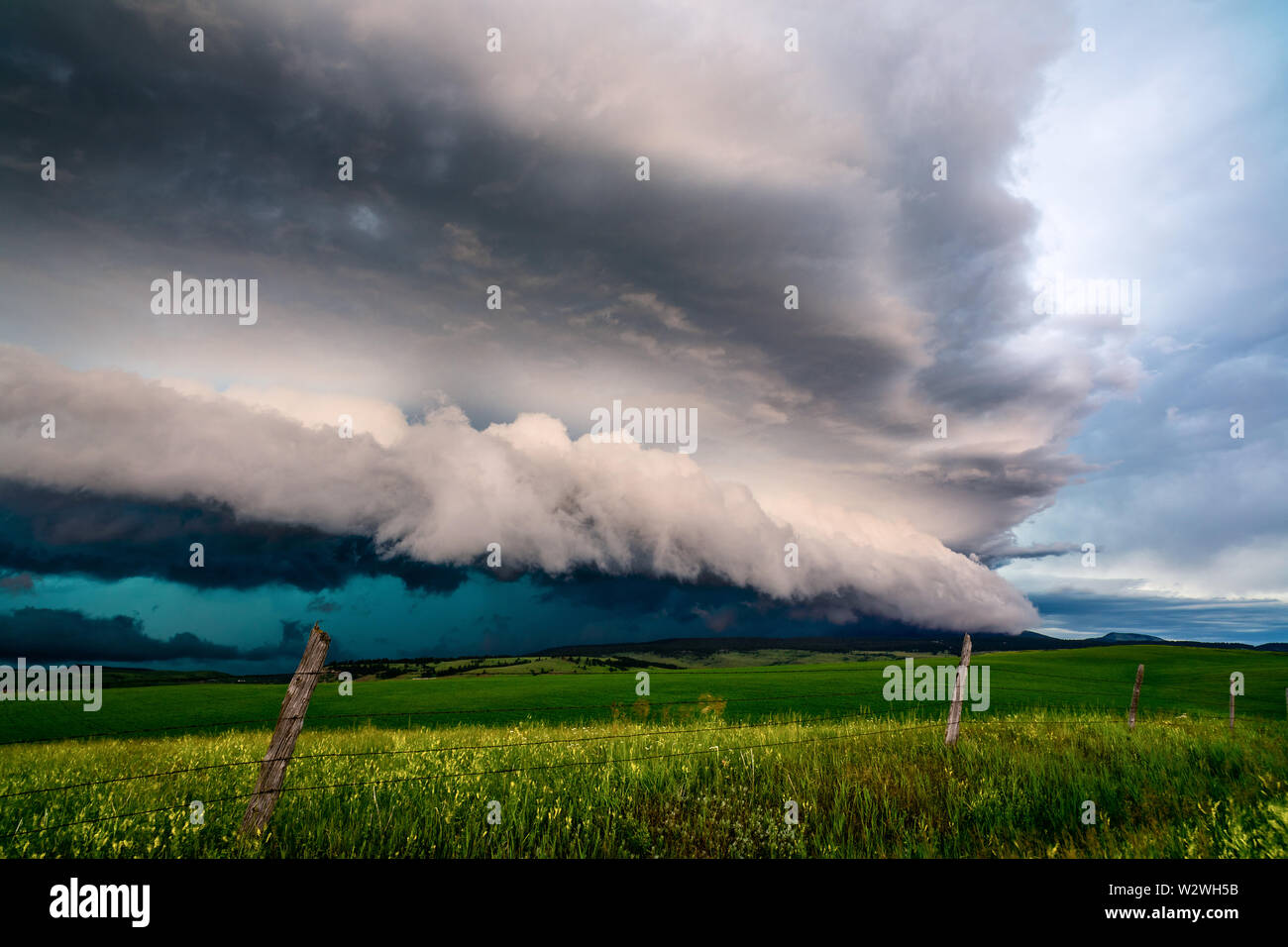 Dramatische, dunkle Wolken drohen vor einem Gewitter in der Nähe von Lewistown, Montana, USA, über einem Feld Stockfoto