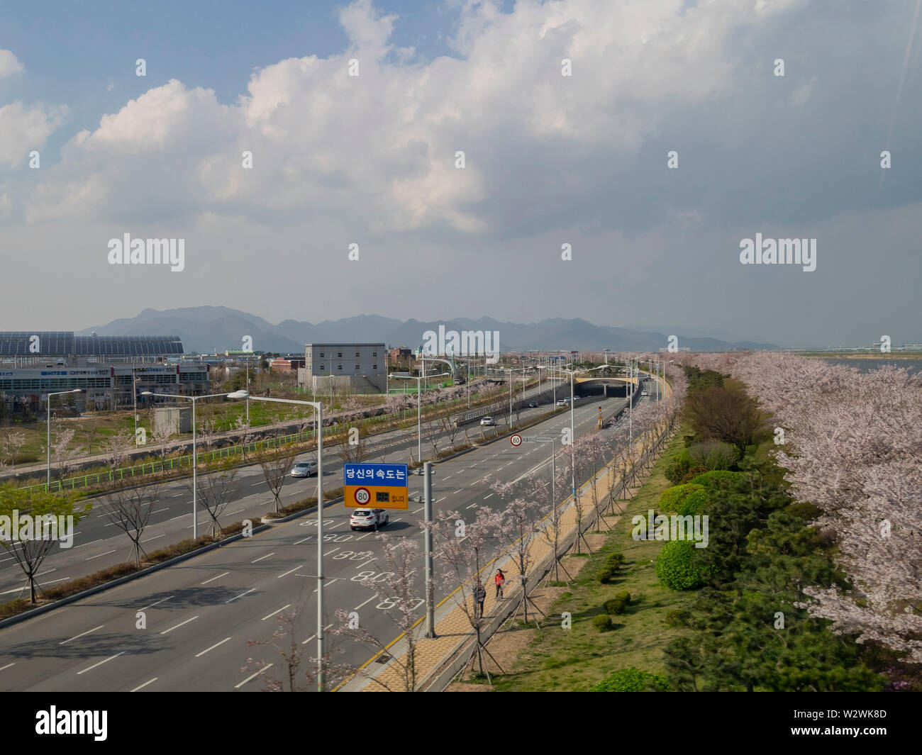 Busan, APR 2: Luftaufnahme der Busan Stadtbild mit Cherry Blossom am Apr 2, 2014 in Busan, Südkorea Stockfoto