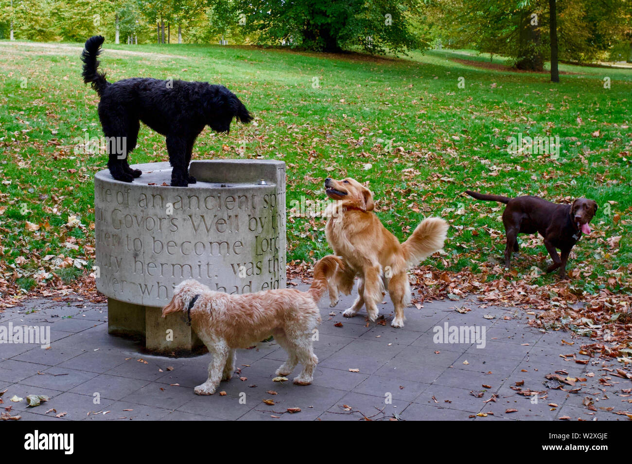 Kensington Gardens, London. Stockfoto