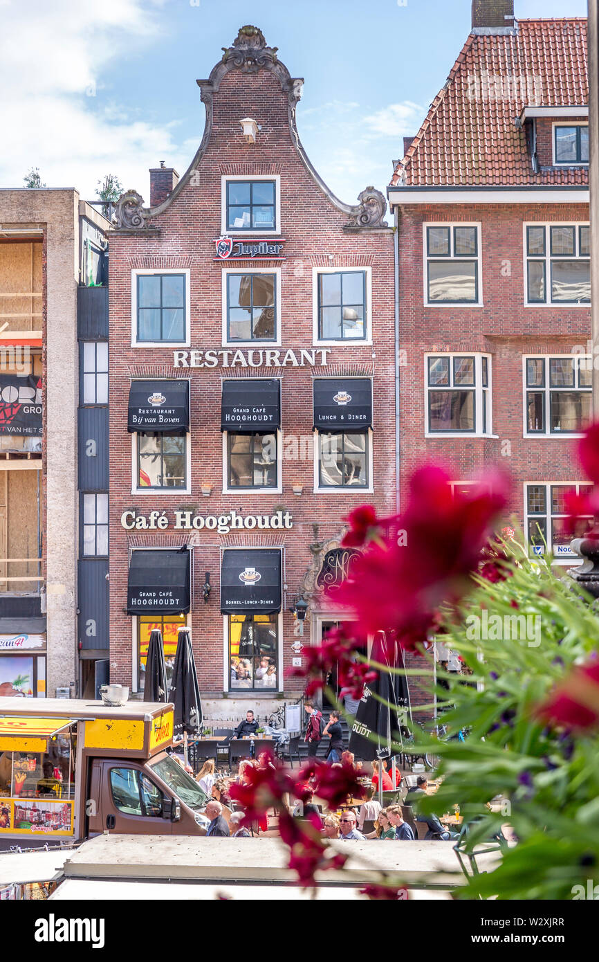 Schöne Blume und Gebäude Stockfoto