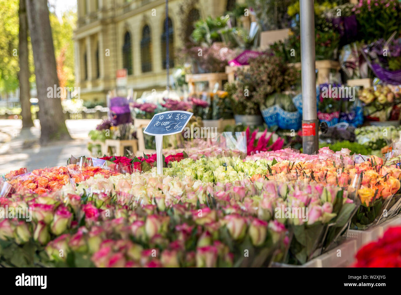 Blumenverkauf in Groningen Stockfoto