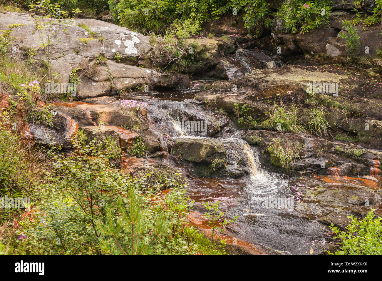 Ein Wasserfall und Stream in den Gärten und der Begründung Cragside House, Northumberland, England, Großbritannien Stockfoto