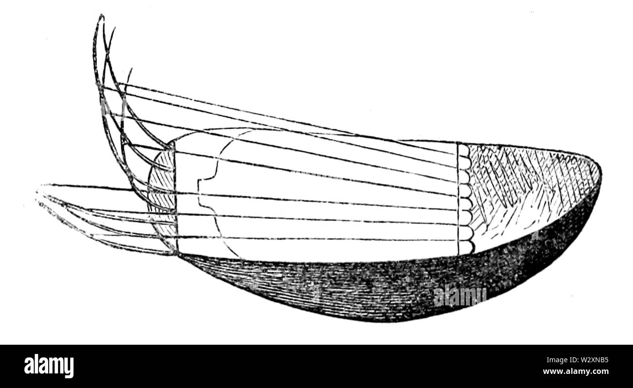 See ergiessende Okawango - p193b Stockfoto