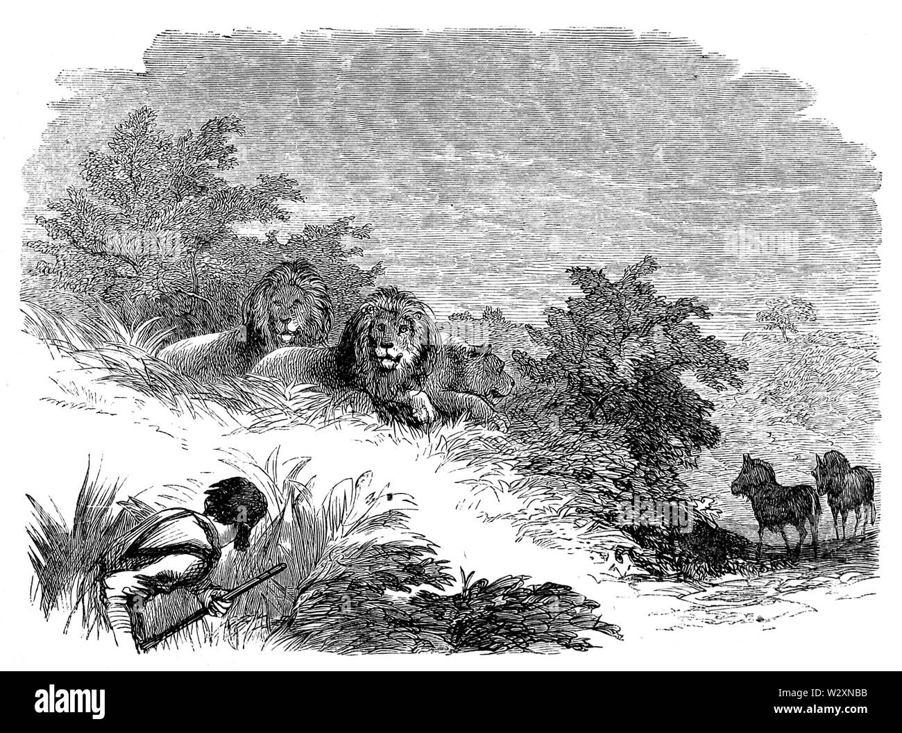 See ergiessende Okawango - p211 Stockfoto