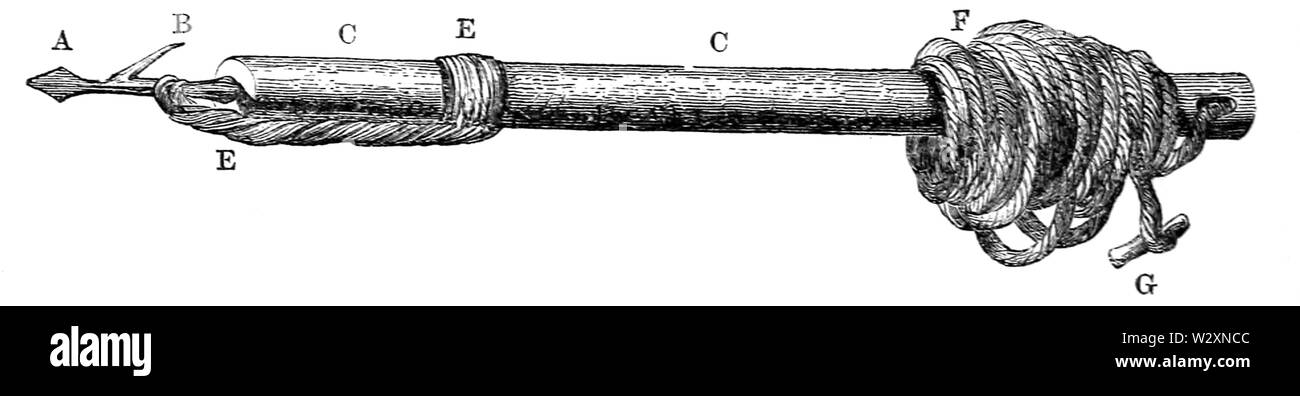 See ergiessende Okawango-P 496 Stockfoto