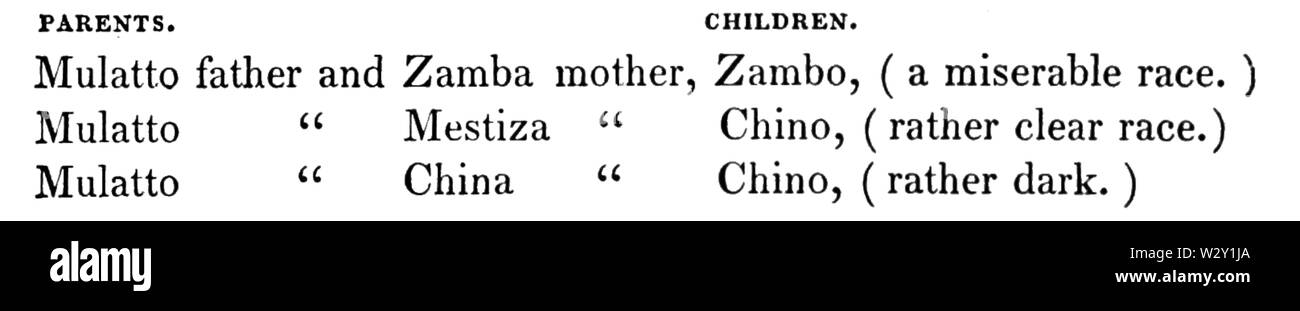 MASR V2D058 2 Kasten der Indischen race Stockfoto