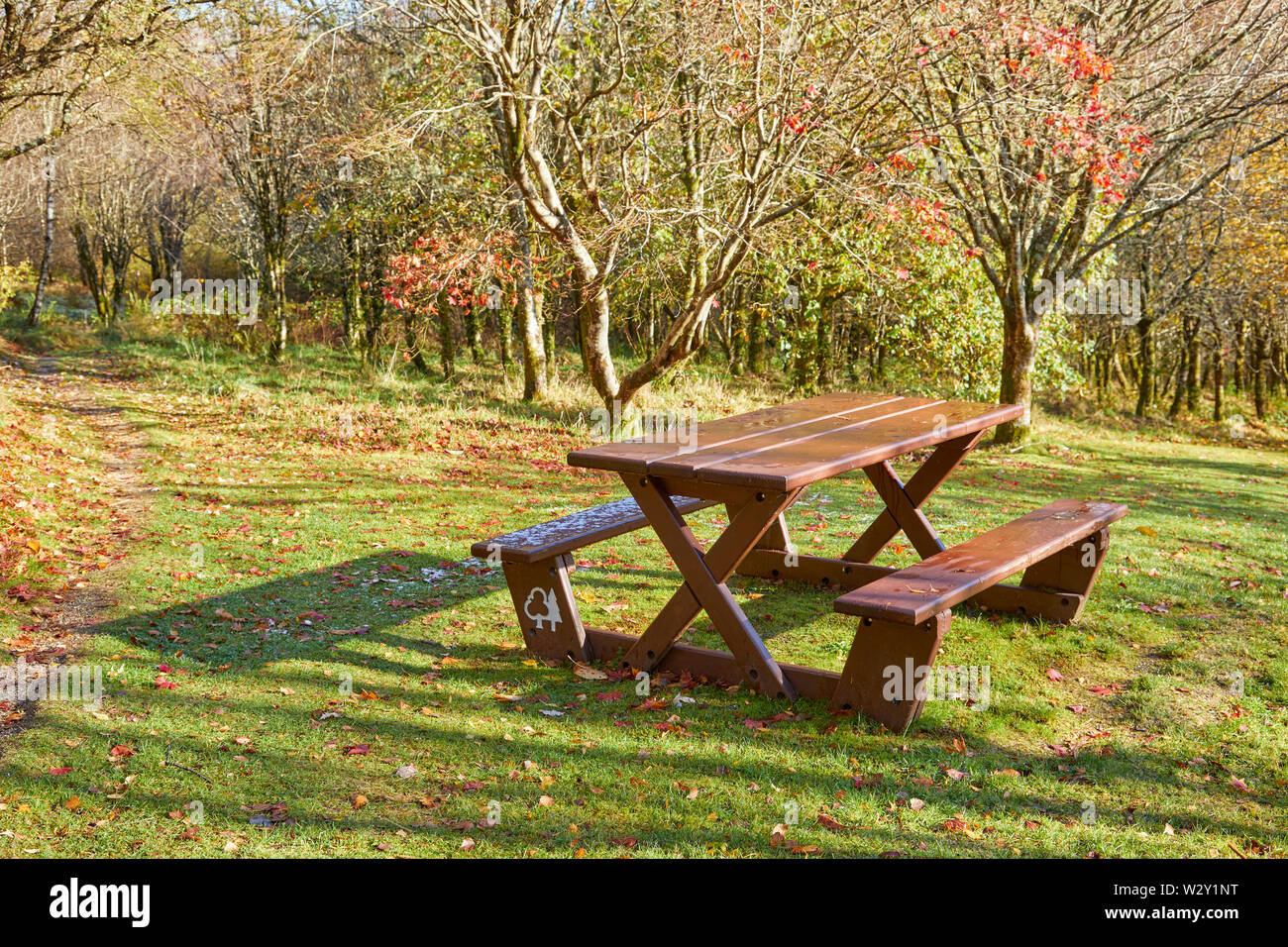 Picknickbank im Winter Woodland Stockfoto