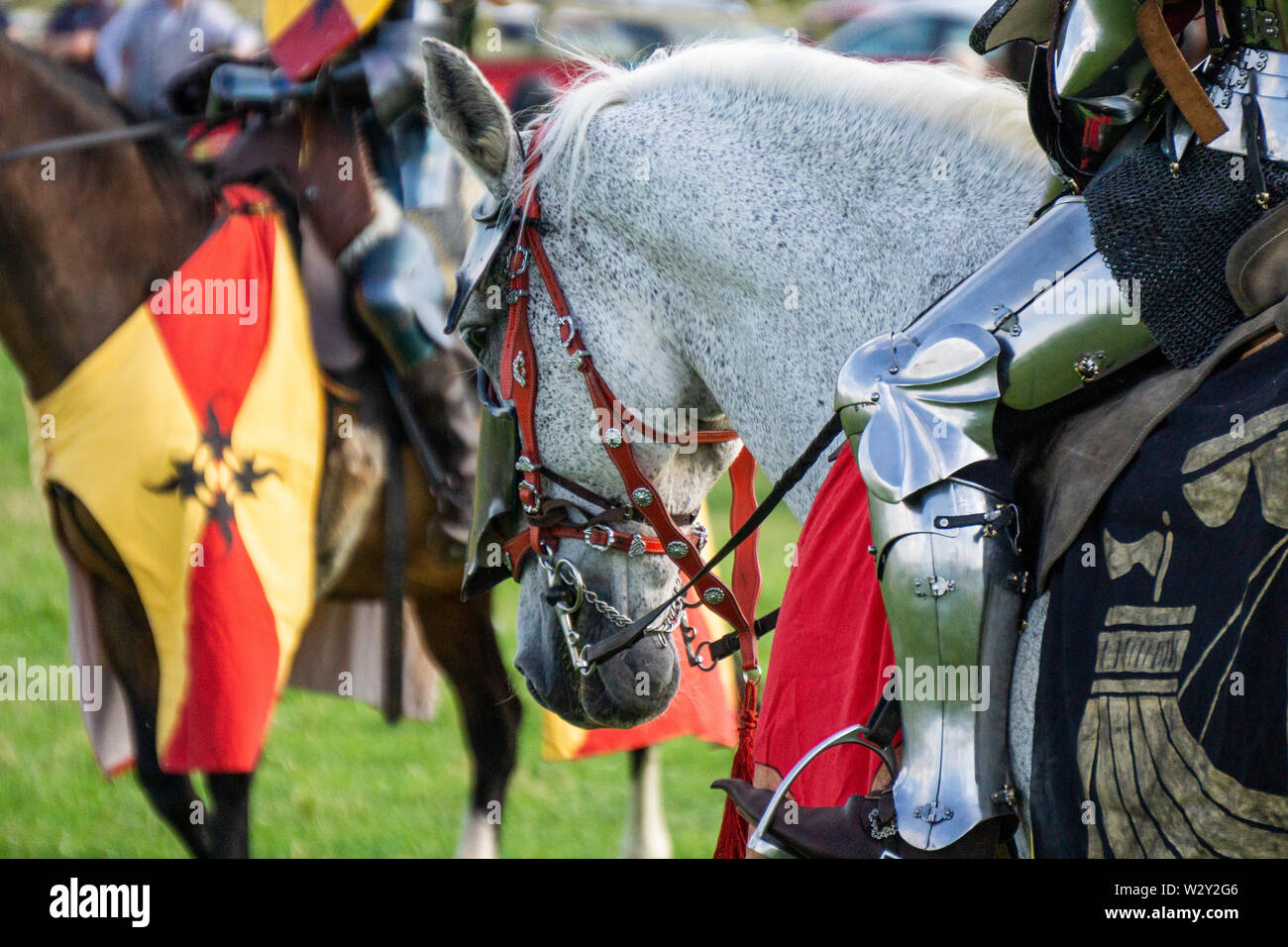 Eine mittelalterliche Ritter auf einem Pferd tragen glänzende Rüstung Stockfoto
