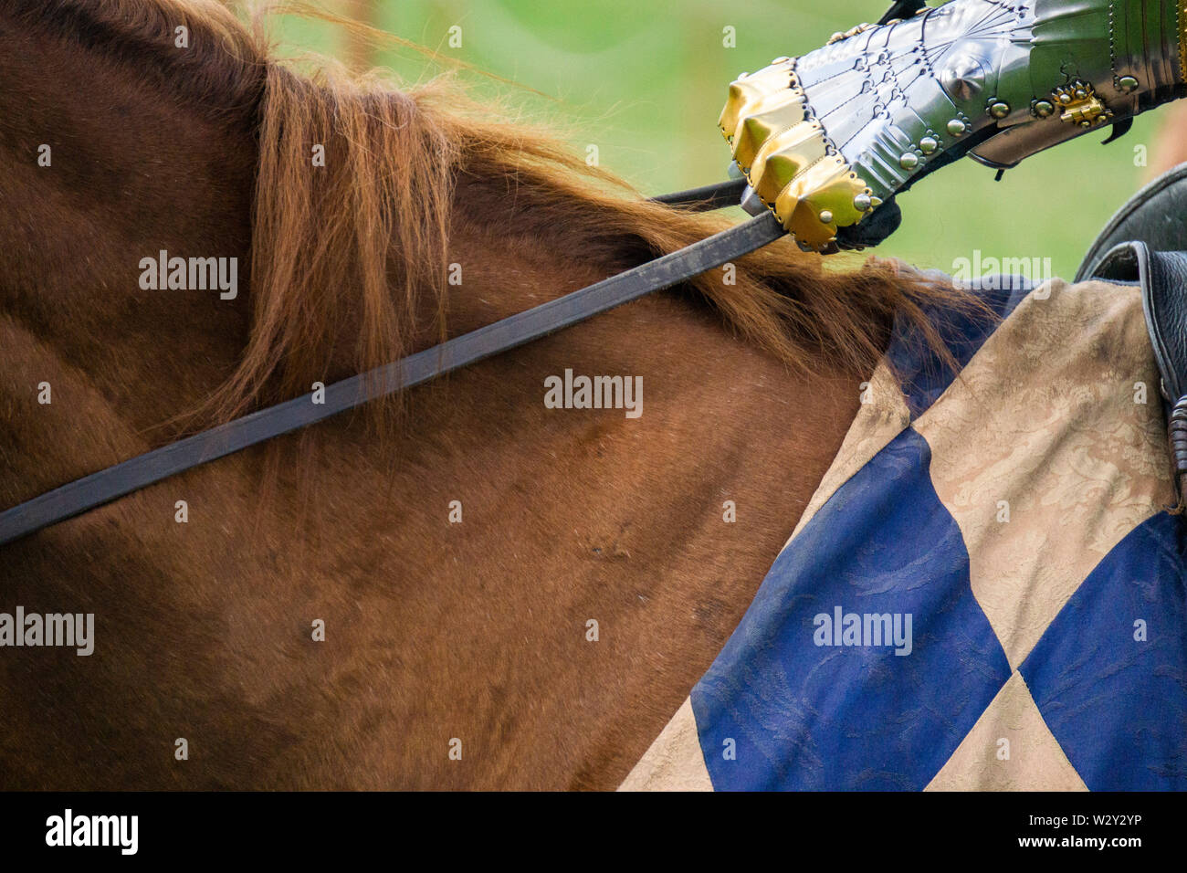 Nahaufnahme der Hand eines Ritters Holding die Zügel eines Pferdes Stockfoto