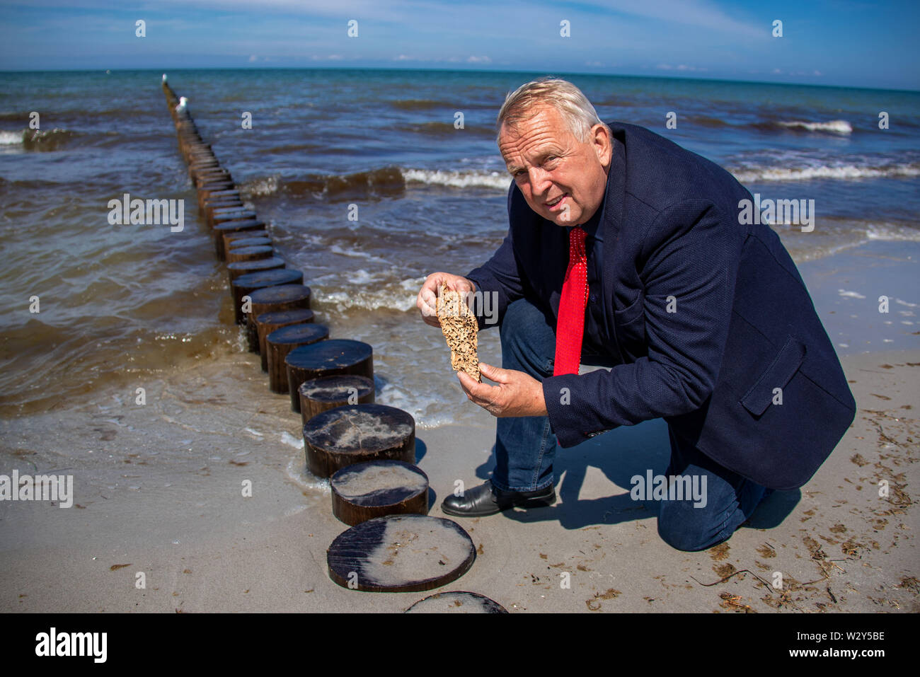 11 Juli 2019, Mecklenburg-Vorpommern, Vitte: Till Backhaus (SPD), Minister für Landwirtschaft in Mecklenburg-Vorpommern, zeigt einen alten Teil einer groyne durch ein Schiff shell vor einer neuen Reihe von buhnen zerstört am Strand der Ostsee Insel Hiddensee. An der Küste aus dem Ort Vitte, eine Neue groyne System wurde für rund fünf Millionen Euro den Dörfern zu effektiv von schweren Sturm Überspannung schützen mit einer Flut von bis zu 2,60 Meter. Foto: Jens Büttner/dpa-Zentralbild/dpa Stockfoto