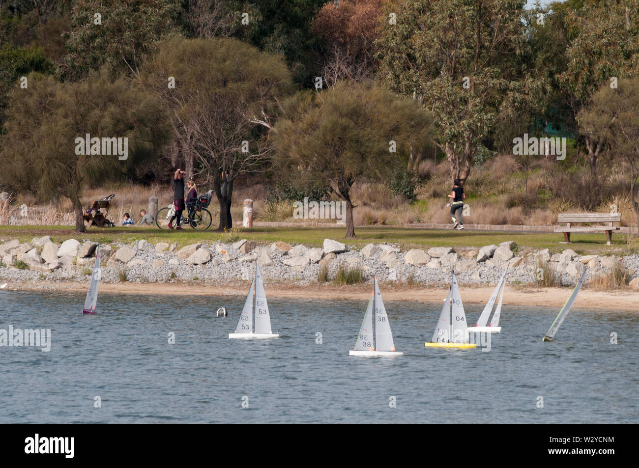 Radfahrer, Jogger und Funkgesteuerte Modell Segelboote an Karkarook Park, Moorabbin, Victoria, Australien. Stockfoto