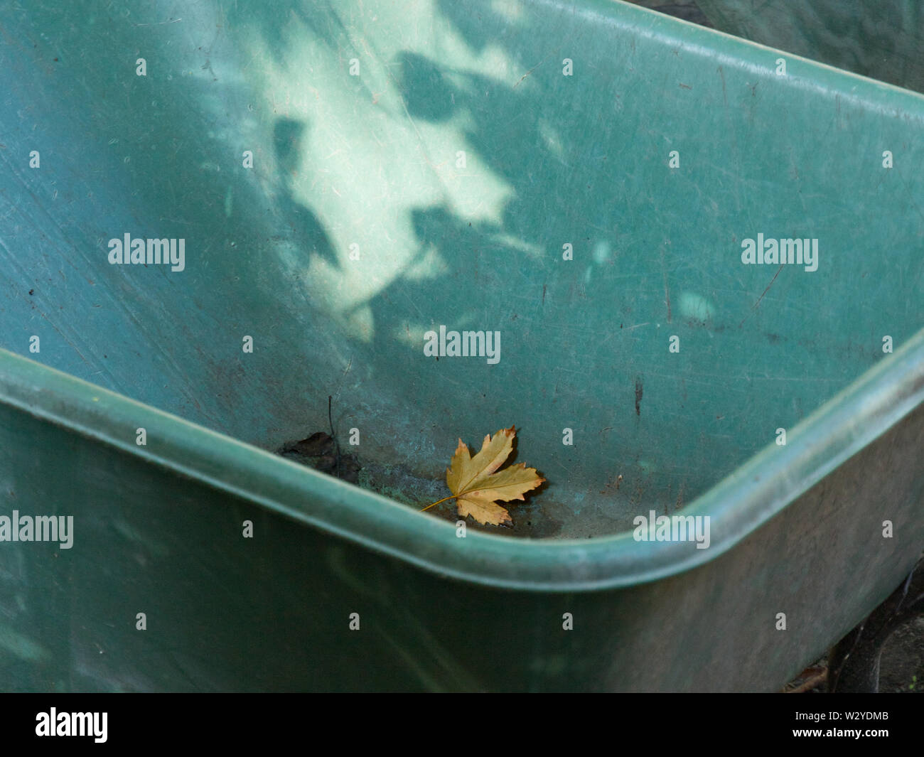 Wenig Herbst Blatt auf einem Hand-Cart Stockfoto