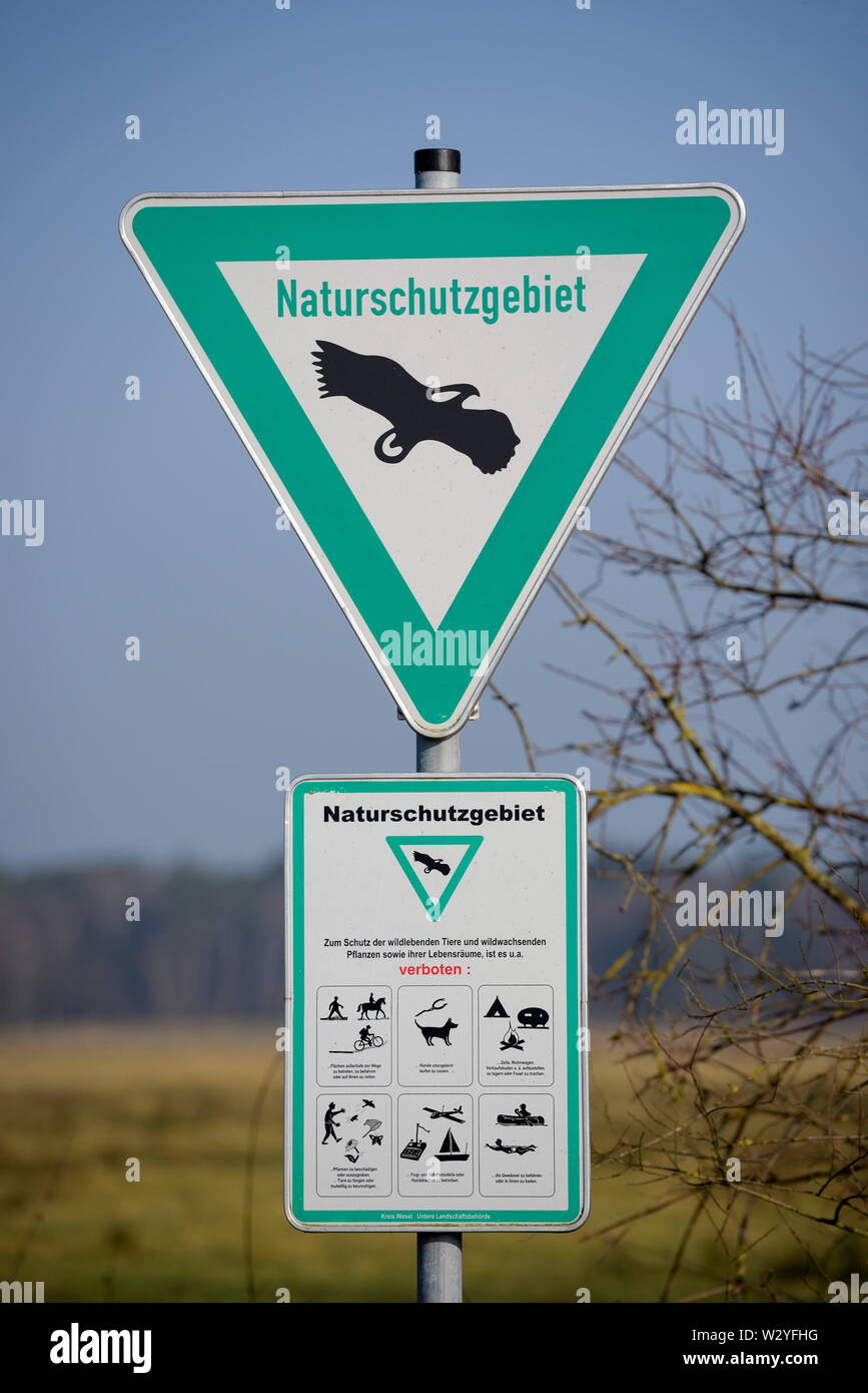 Zeichen der Natur finden, Februar, Nordrhein-Westfalen, Deutschland Stockfoto